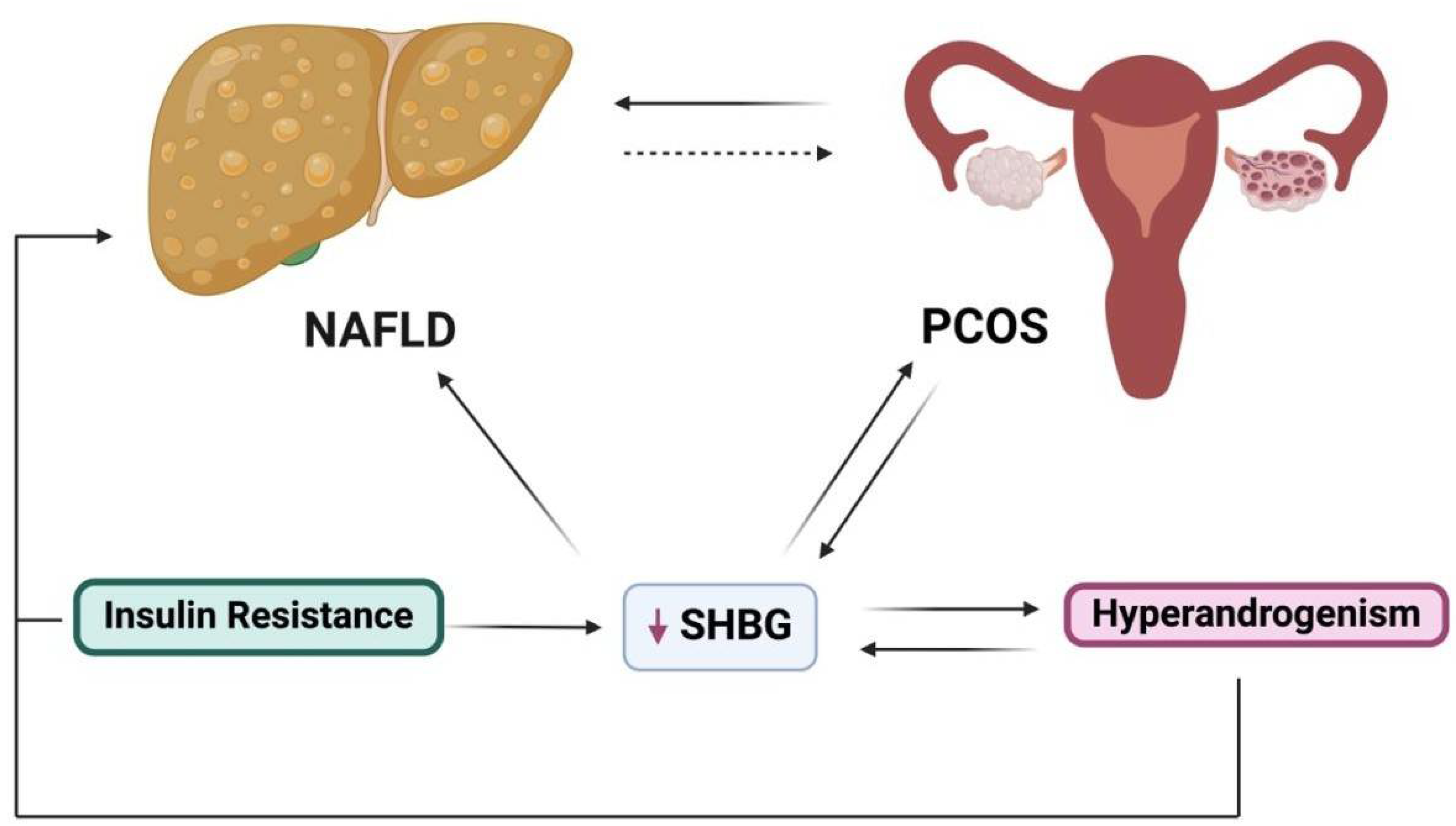 Biomolecules 15 00051 g004