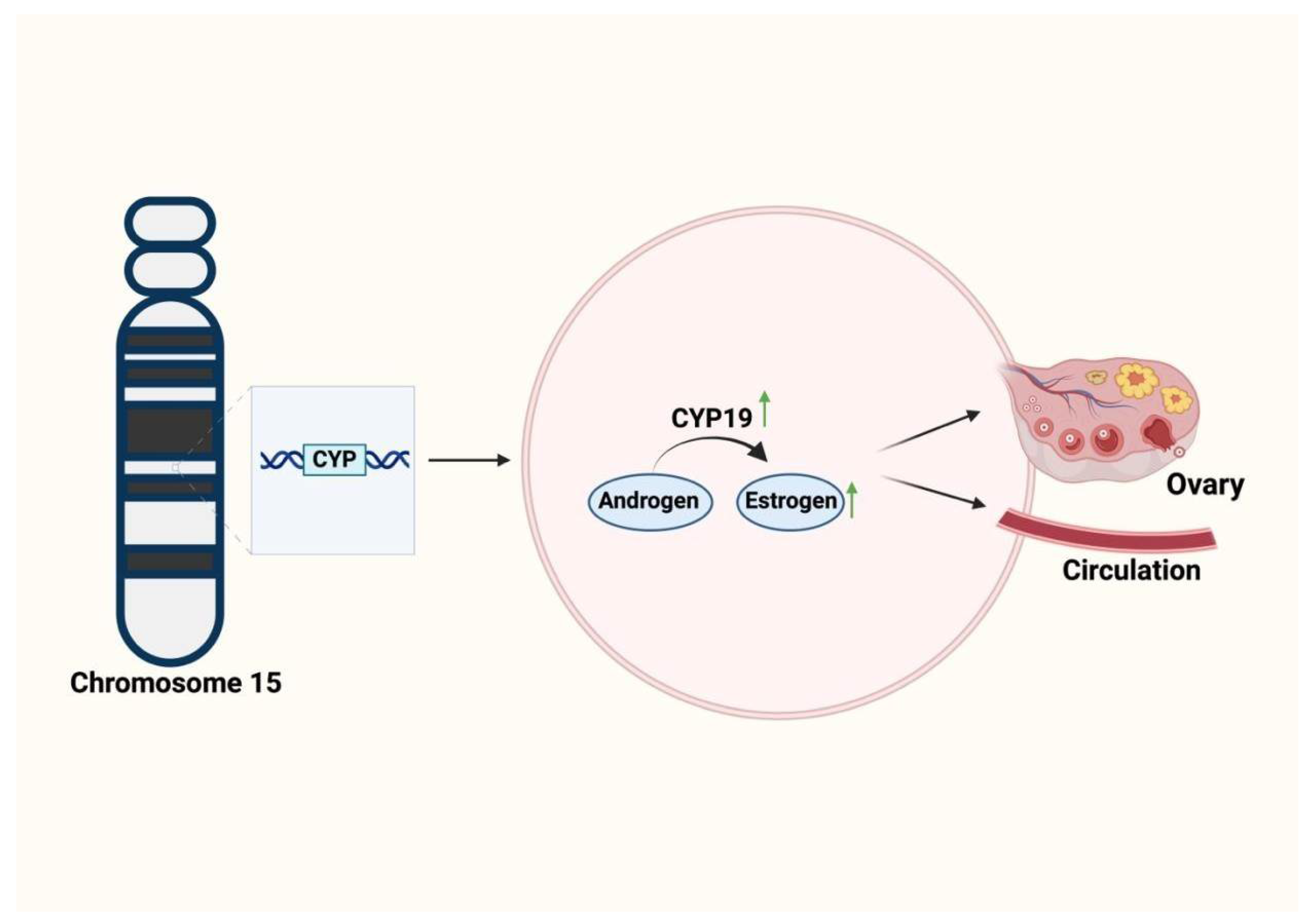 Biomolecules 15 00051 g005