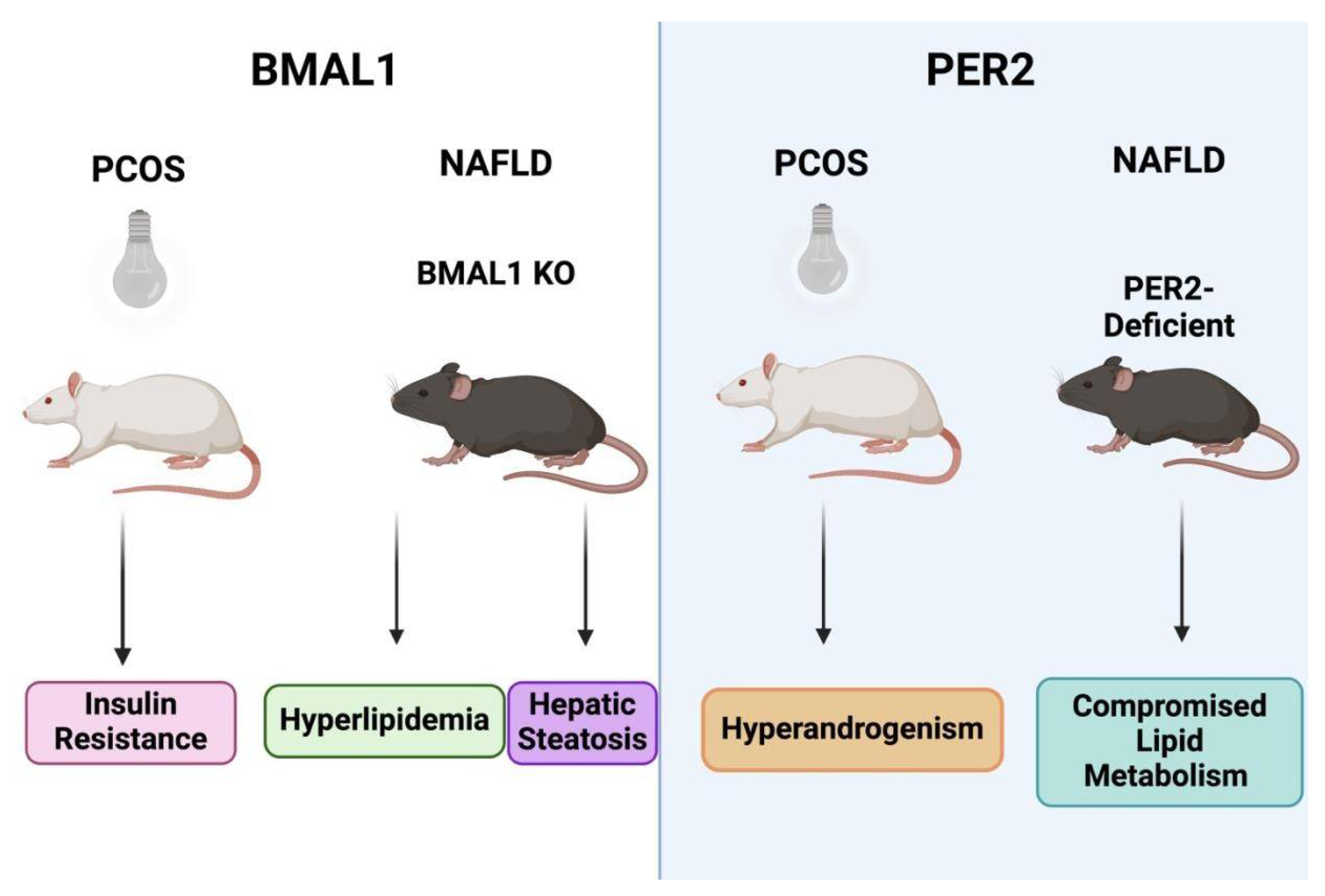Biomolecules 15 00051 g006