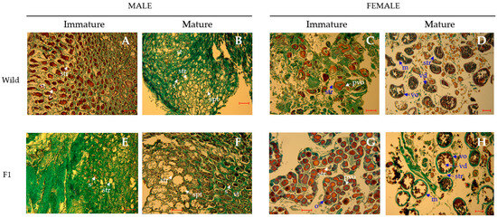 Biomolecules 15 00054 g0a1
