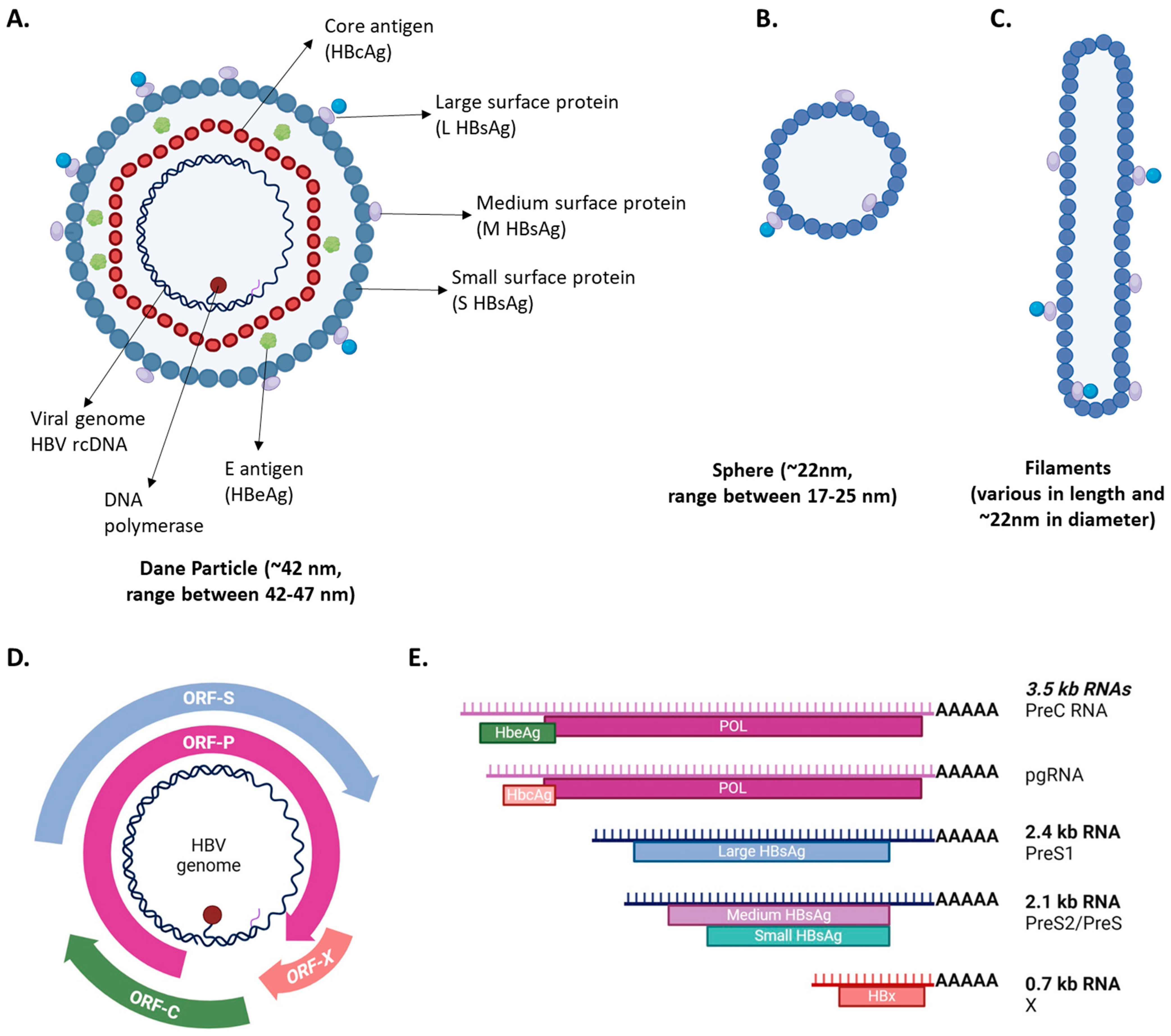 Biomolecules 15 00062 g001 Biomolecules 15 00062 g001