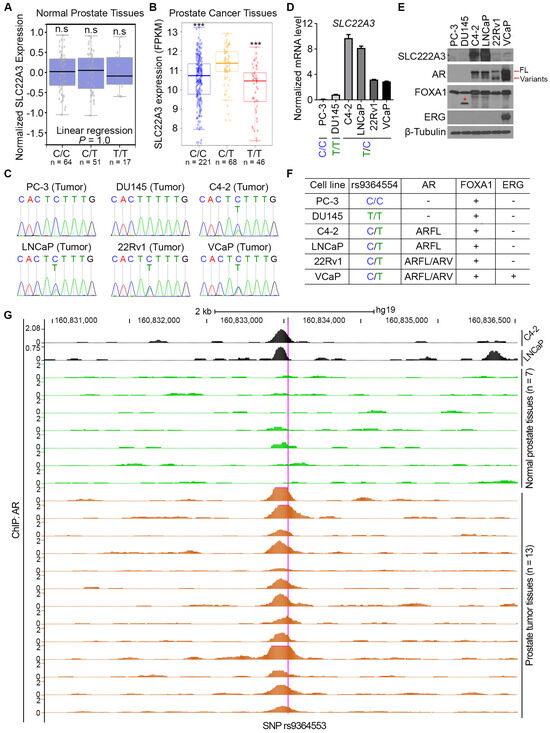 Biomolecules 15 00064 g002