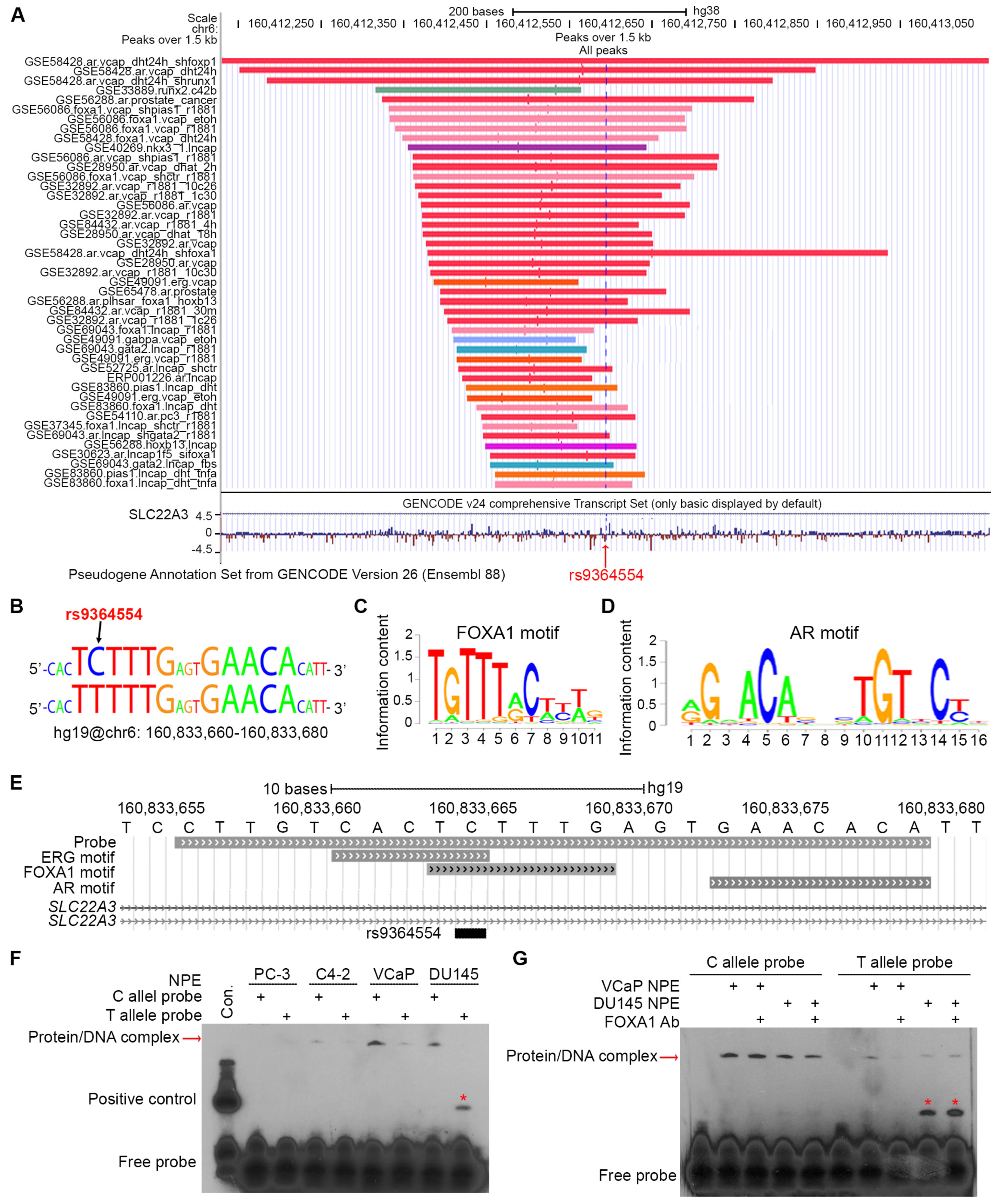 Biomolecules 15 00064 g003