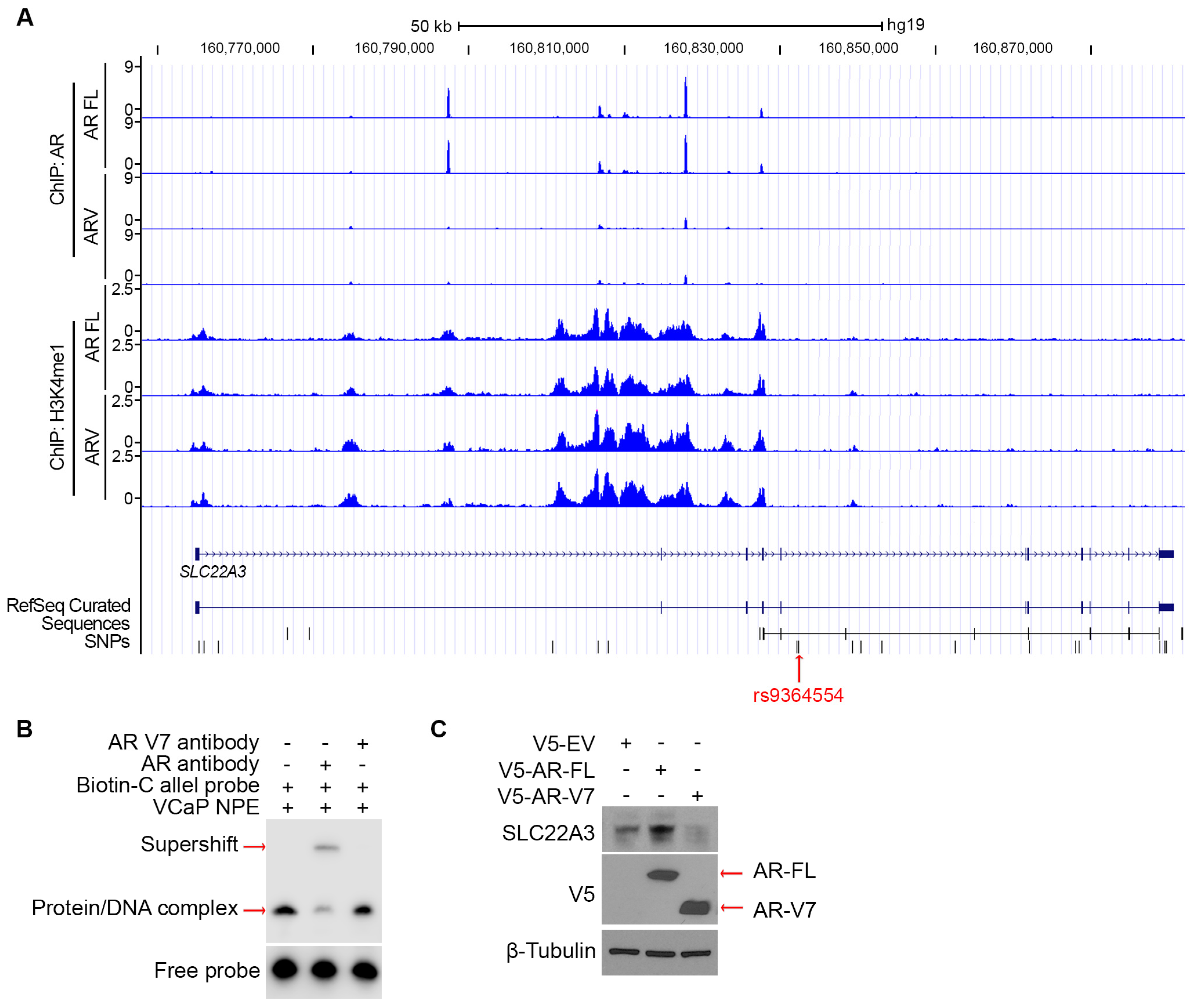 Biomolecules 15 00064 g005