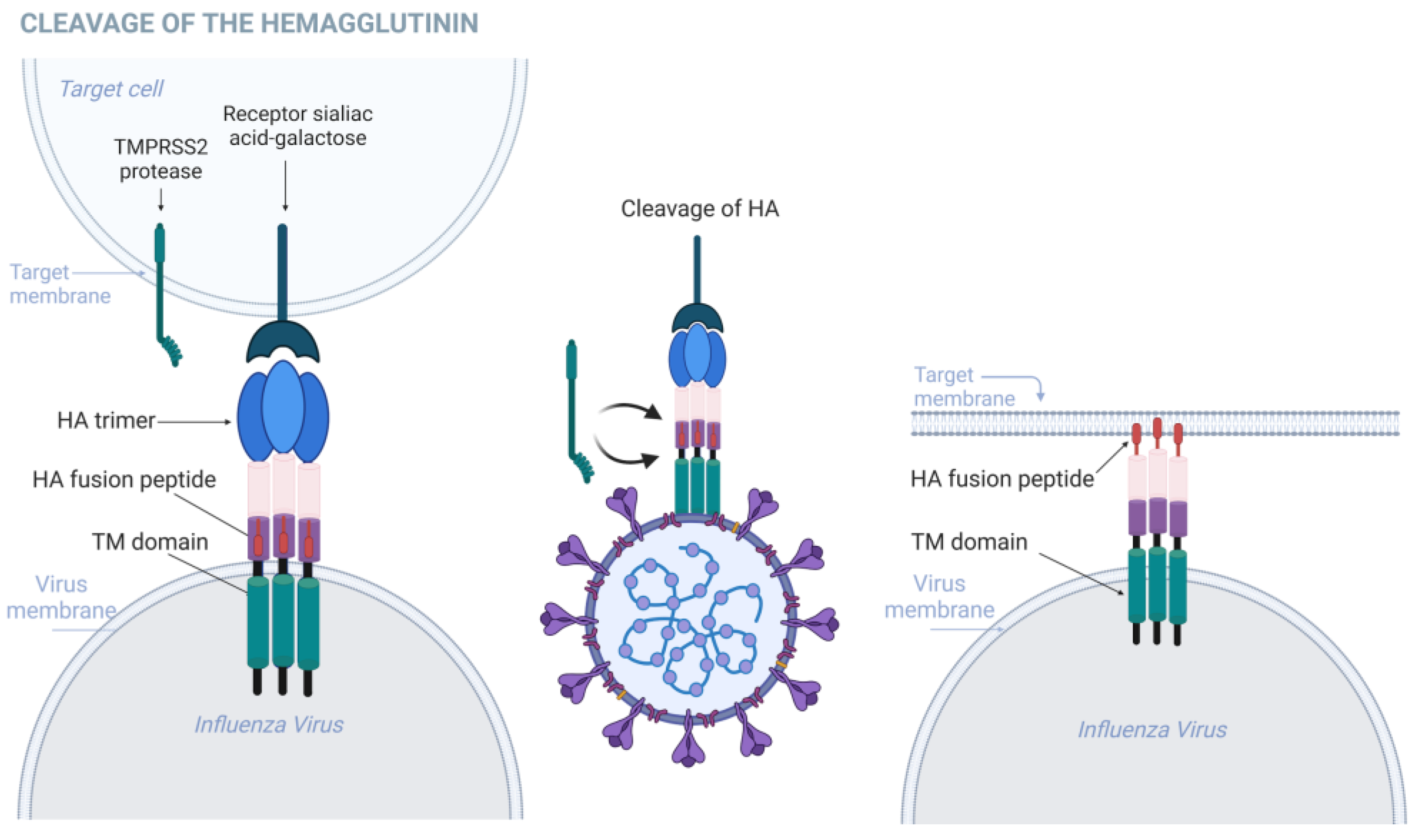 Biomolecules 15 00075 g003 Biomolecules 15 00075 g003