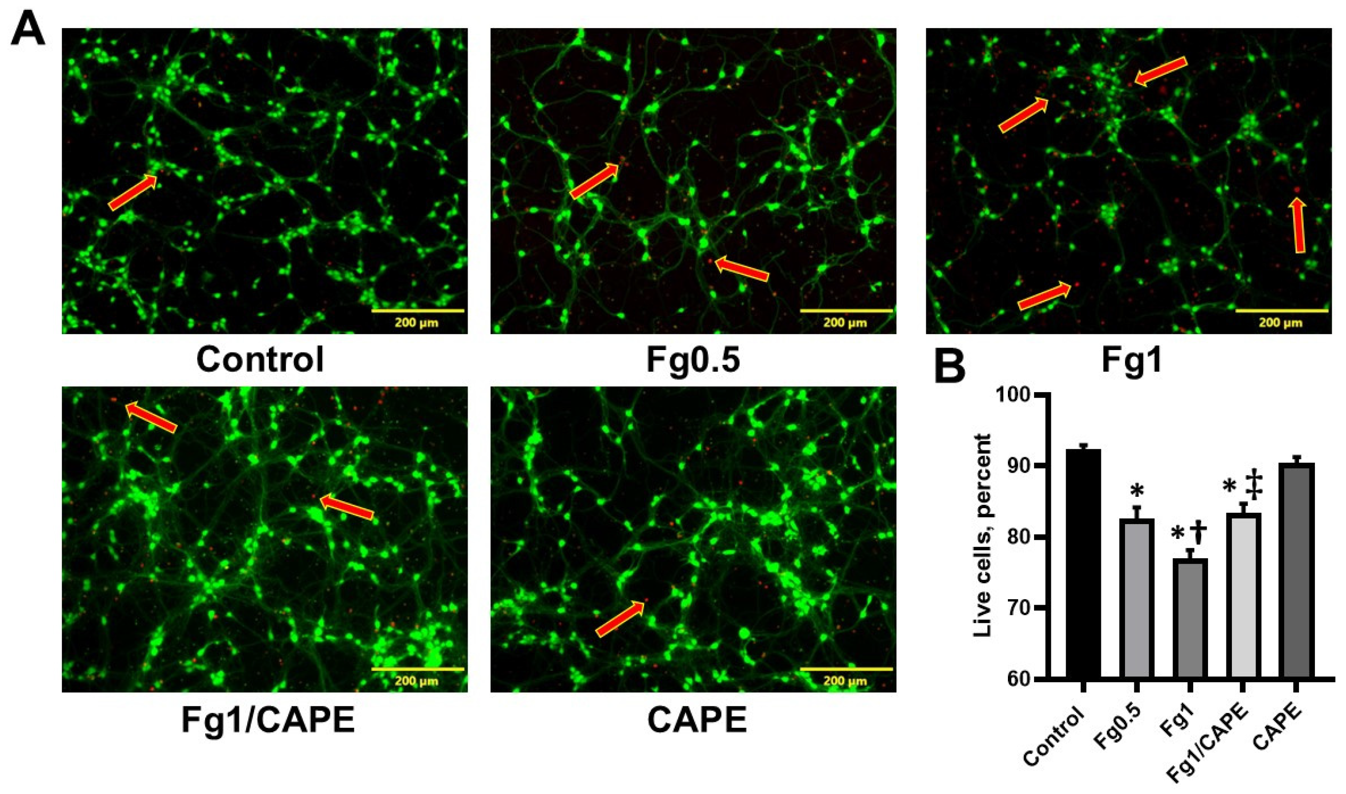 Biomolecules 15 00080 g002 Biomolecules 15 00080 g002