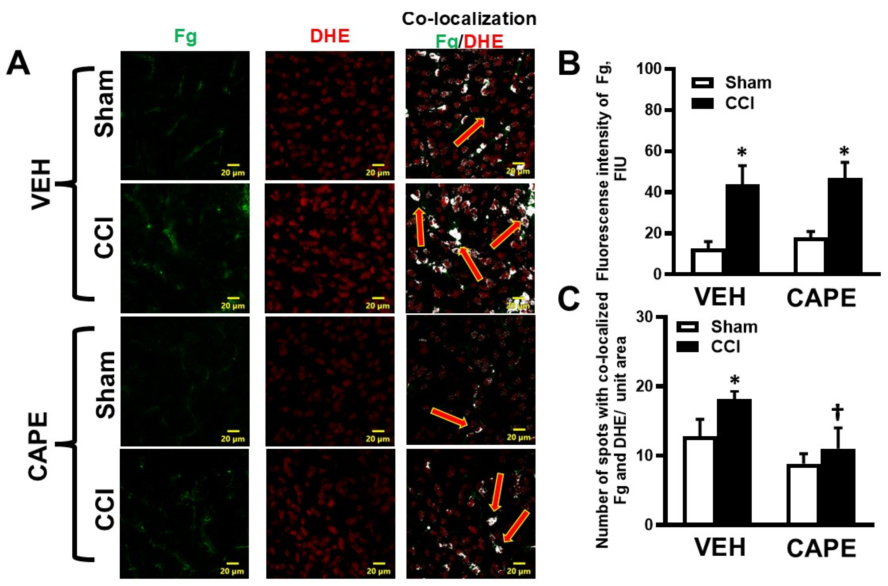 Biomolecules 15 00080 g003 Biomolecules 15 00080 g003