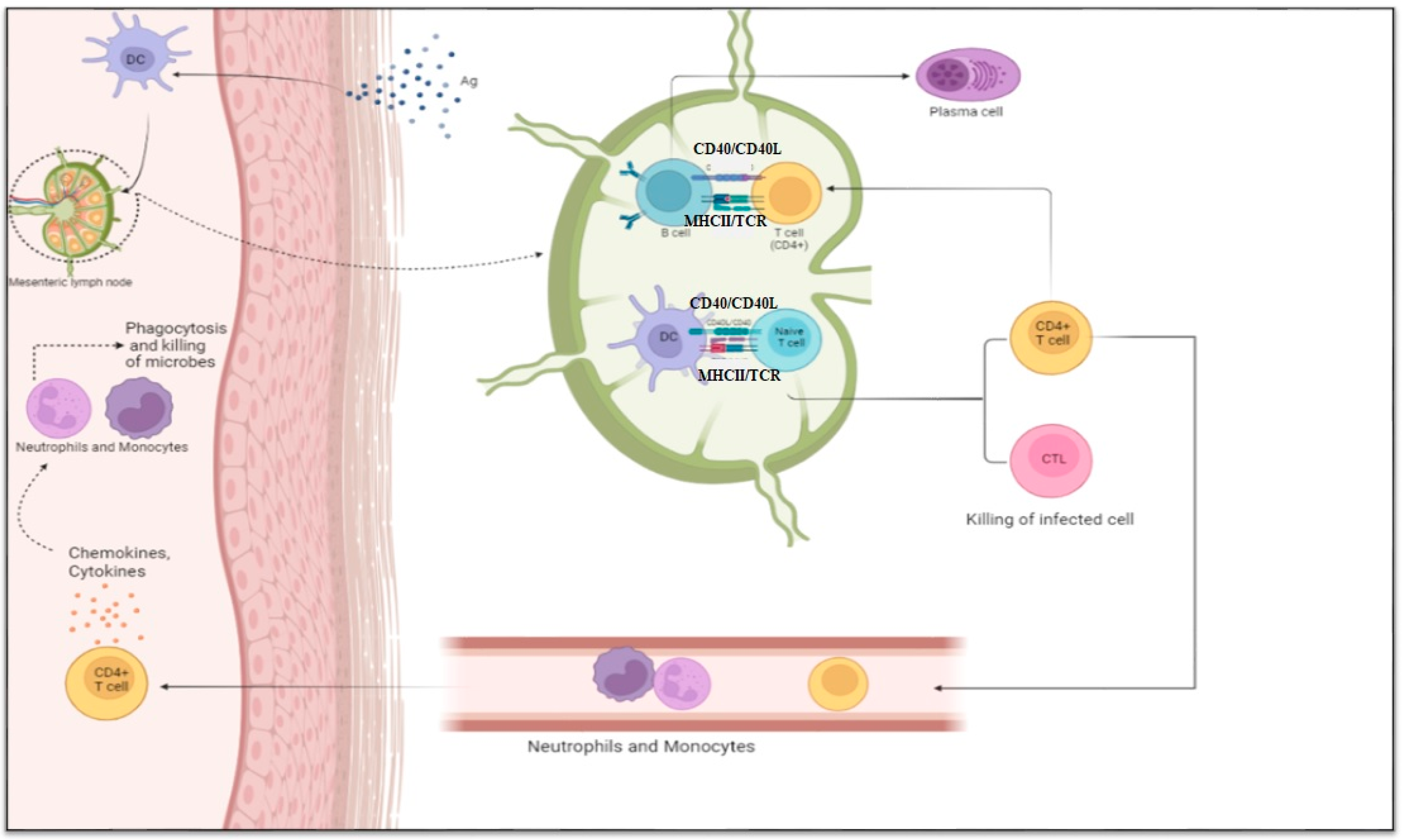 Biomolecules 15 00084 g001