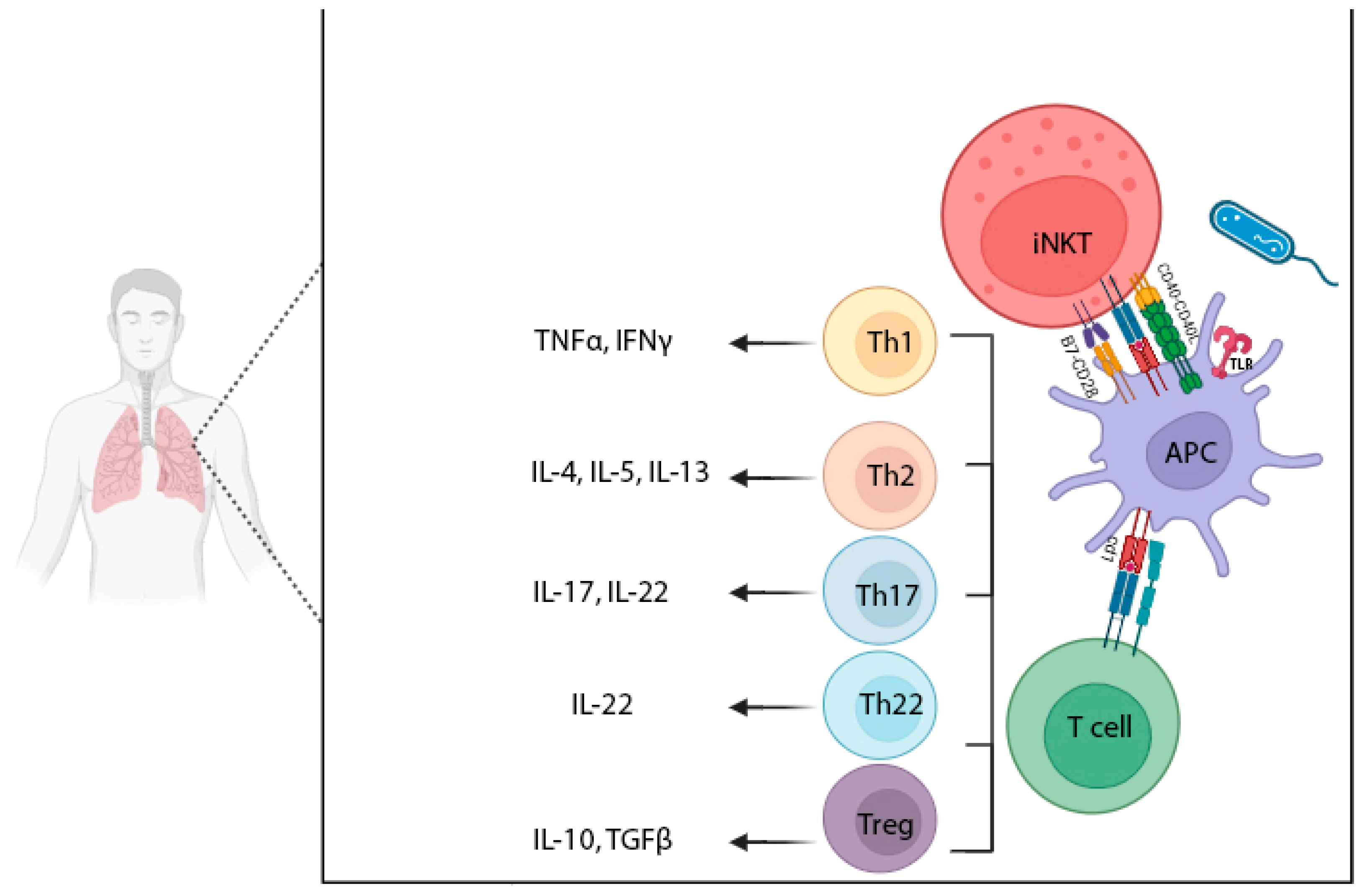 Biomolecules 15 00084 g003