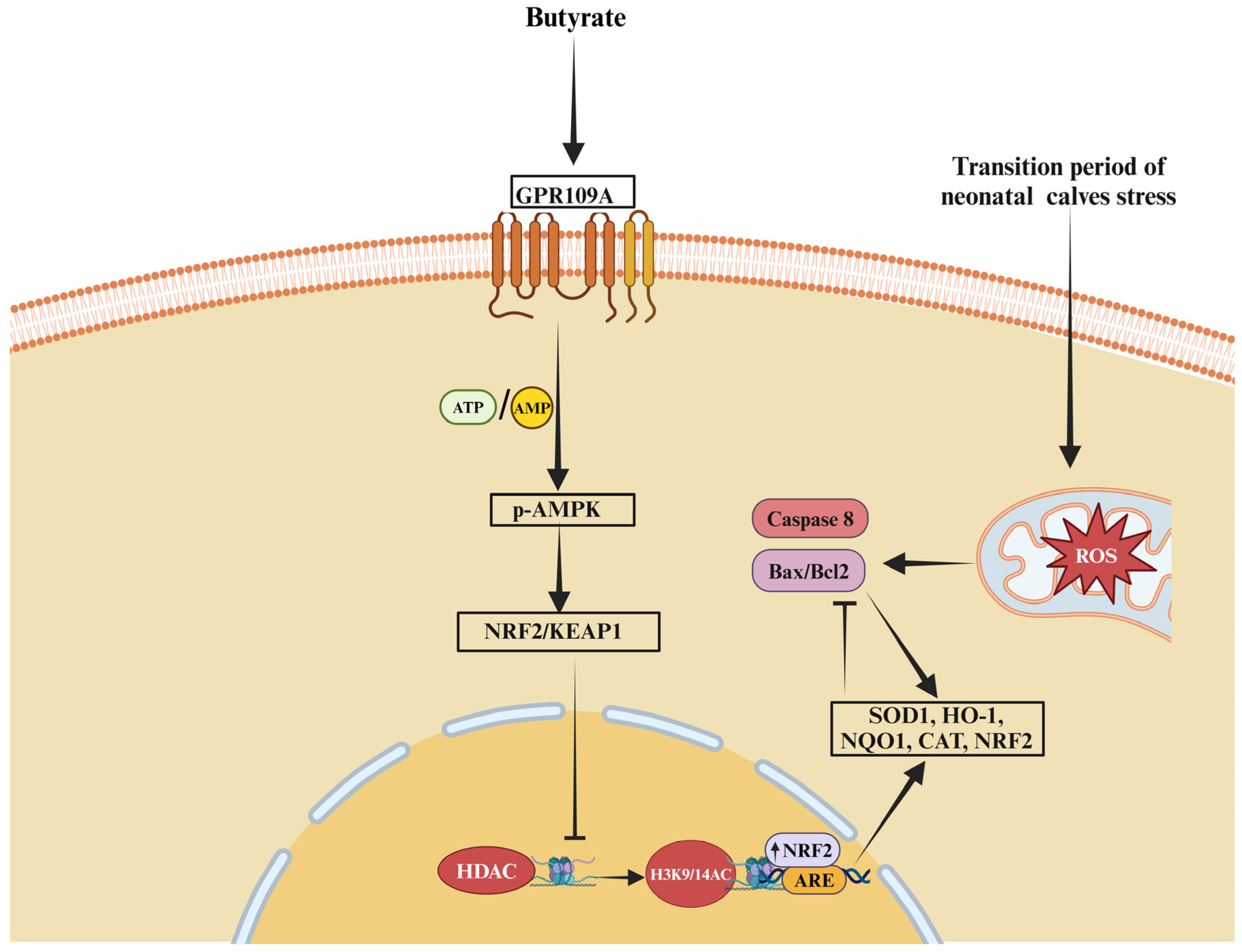 Biomolecules 15 00085 g004