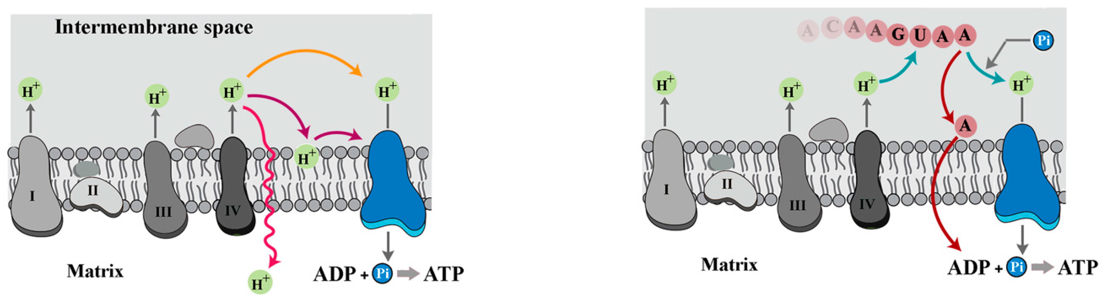 Biomolecules 15 00087 g001