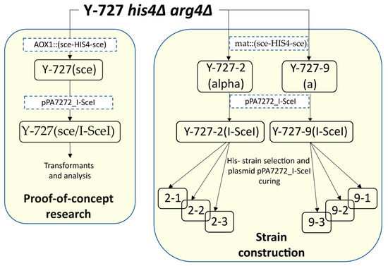 Biomolecules 15 00097 g001