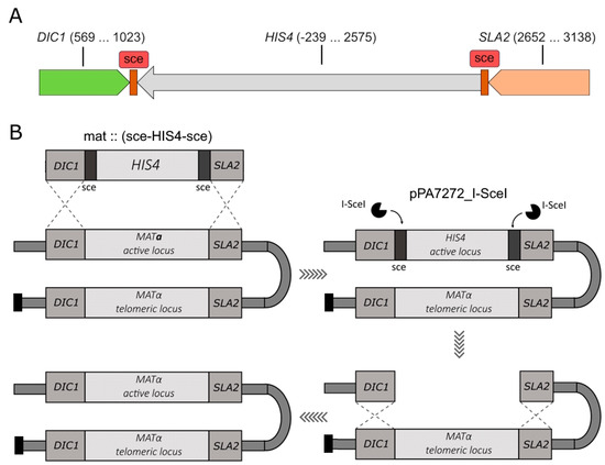 Biomolecules 15 00097 g002