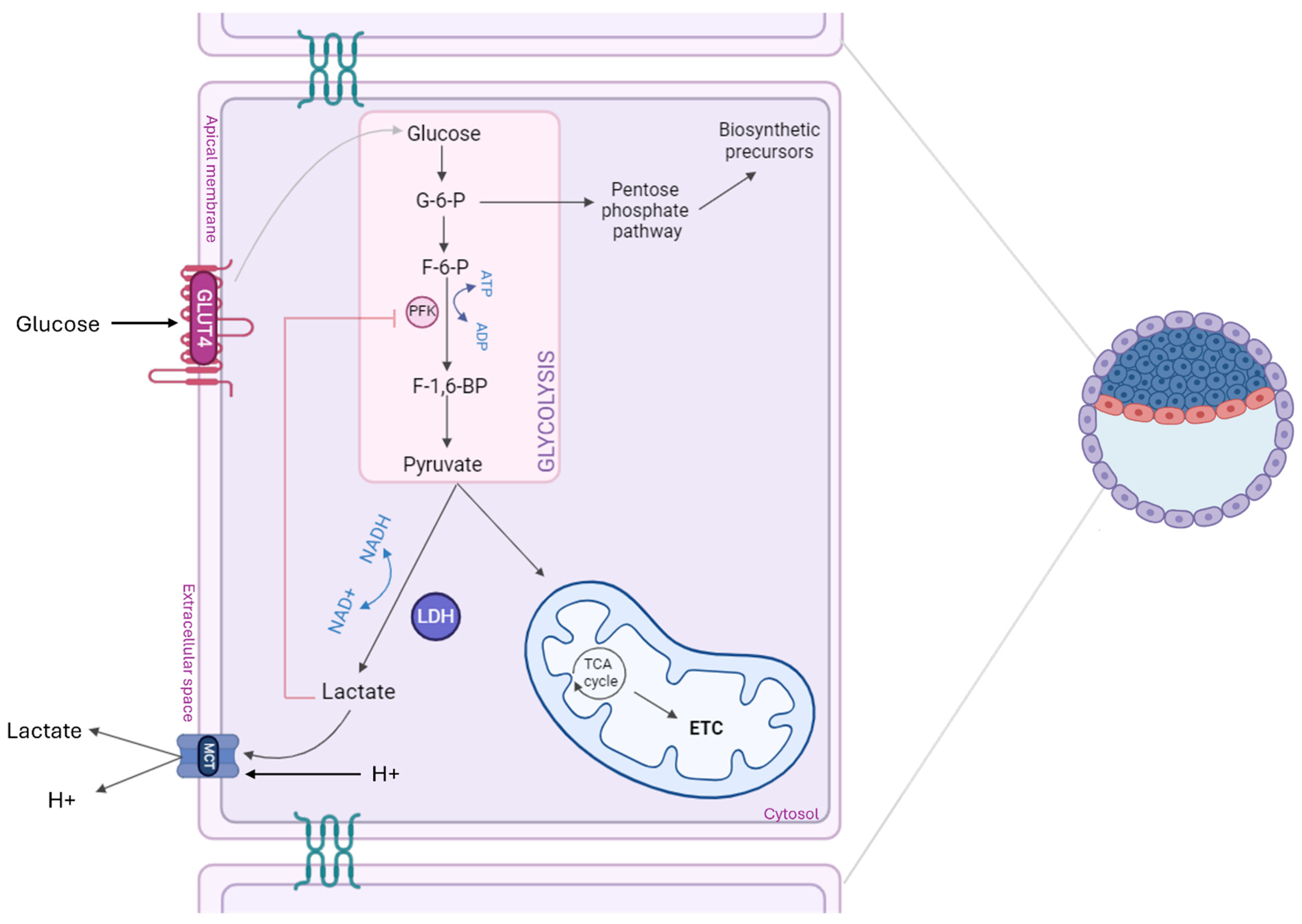 Biomolecules 15 00100 g001