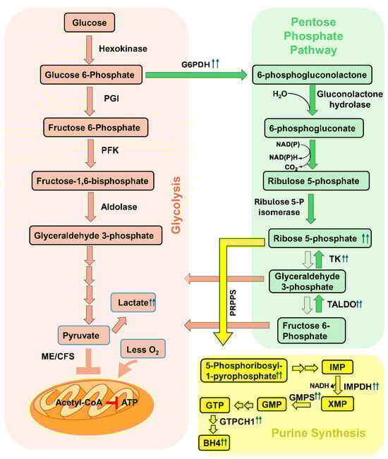Biomolecules 15 00102 g005