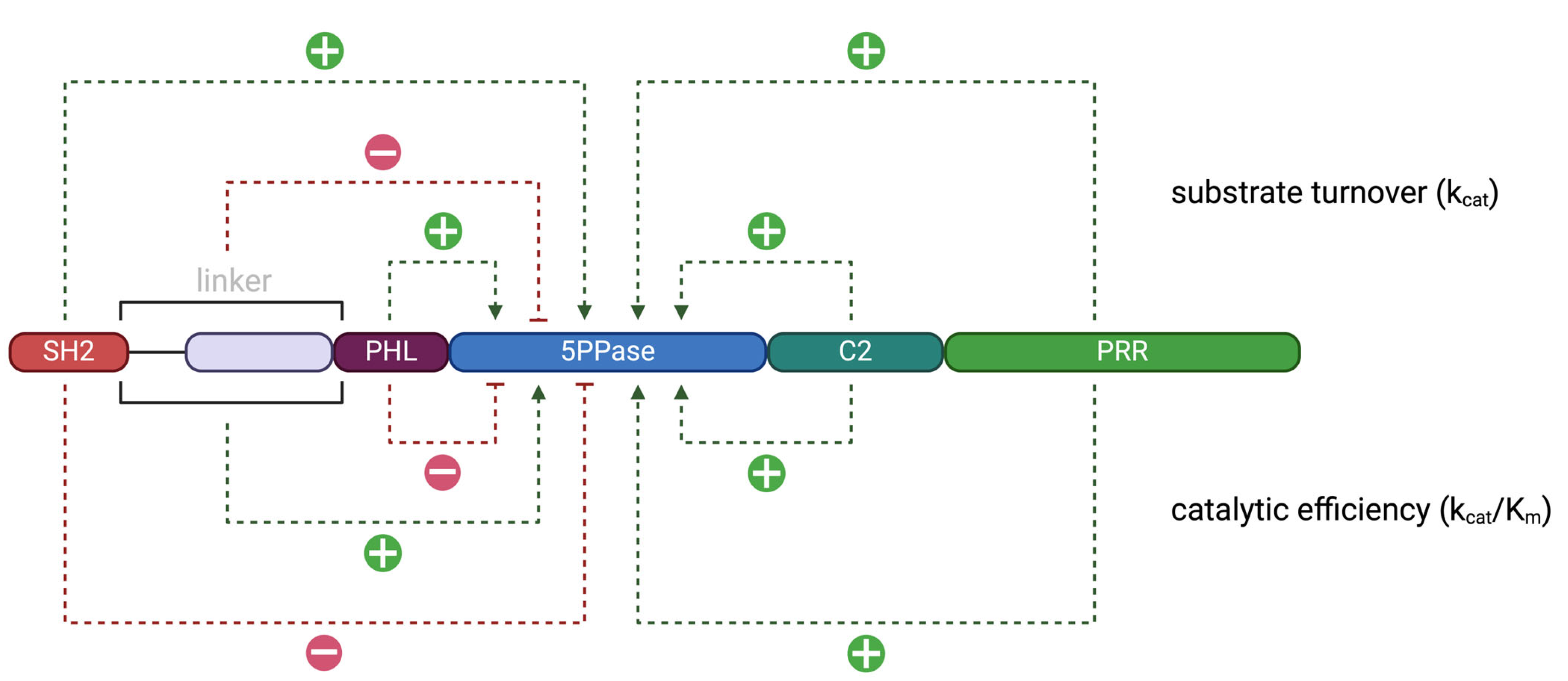 Biomolecules 15 00105 g004