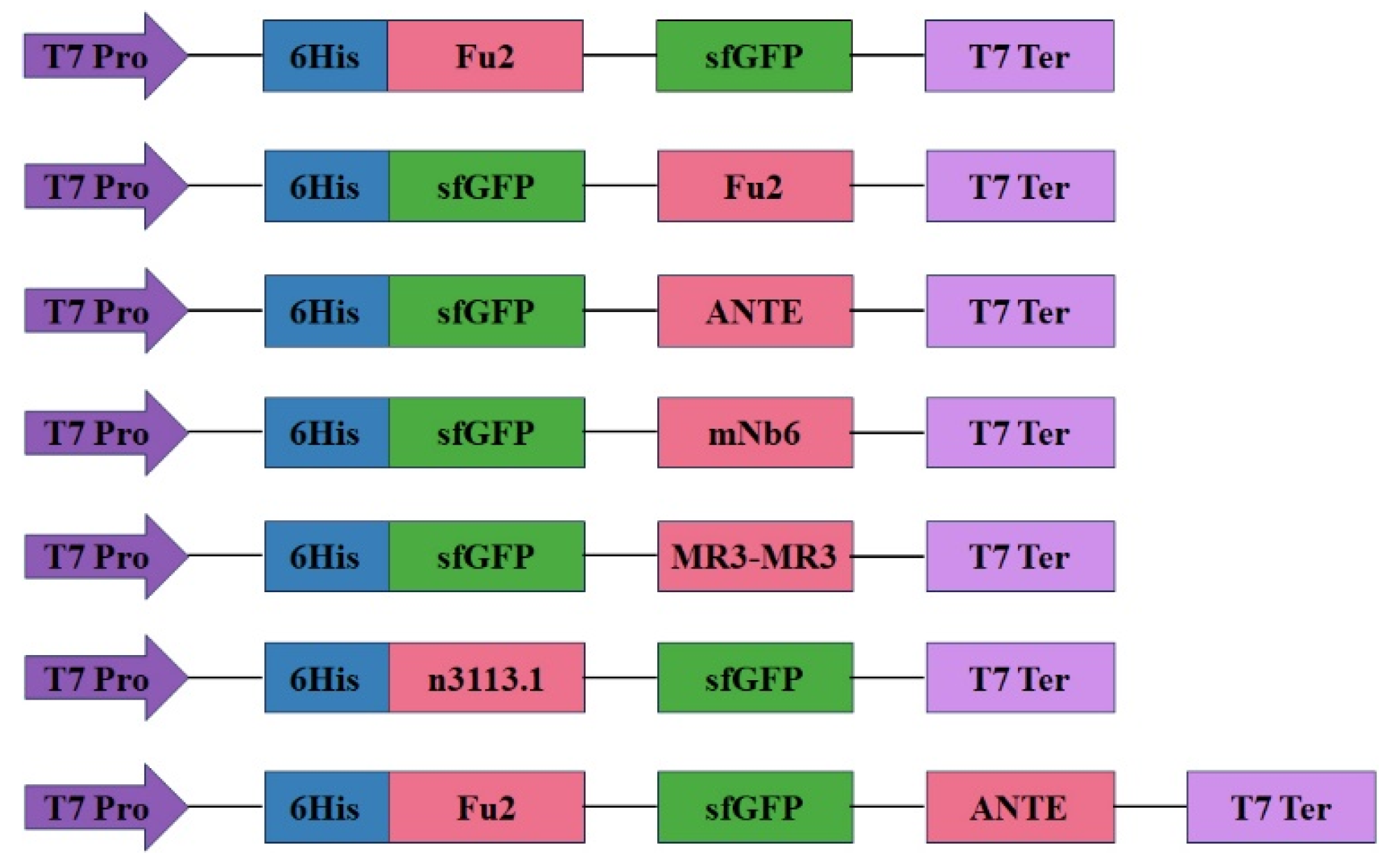 Biomolecules 15 00111 g001
