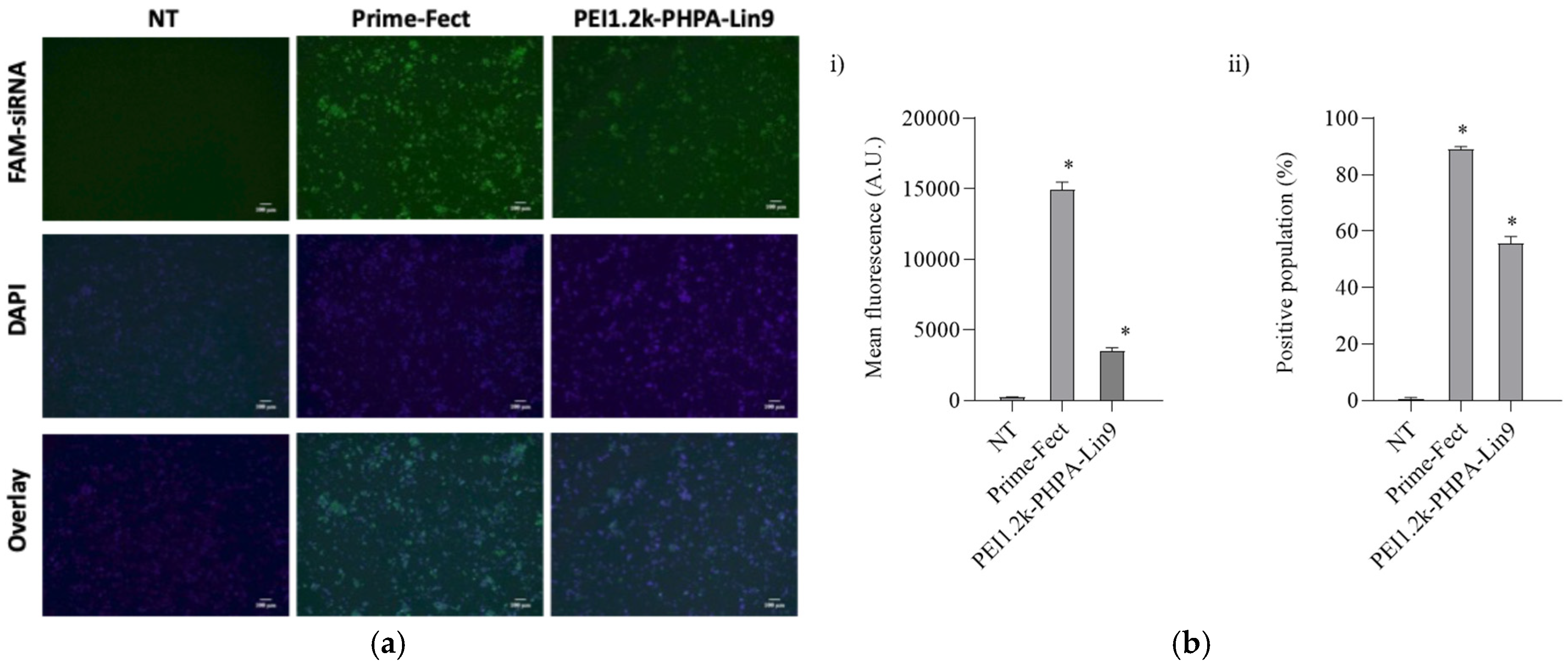 Biomolecules 15 00115 g002 Biomolecules 15 00115 g002