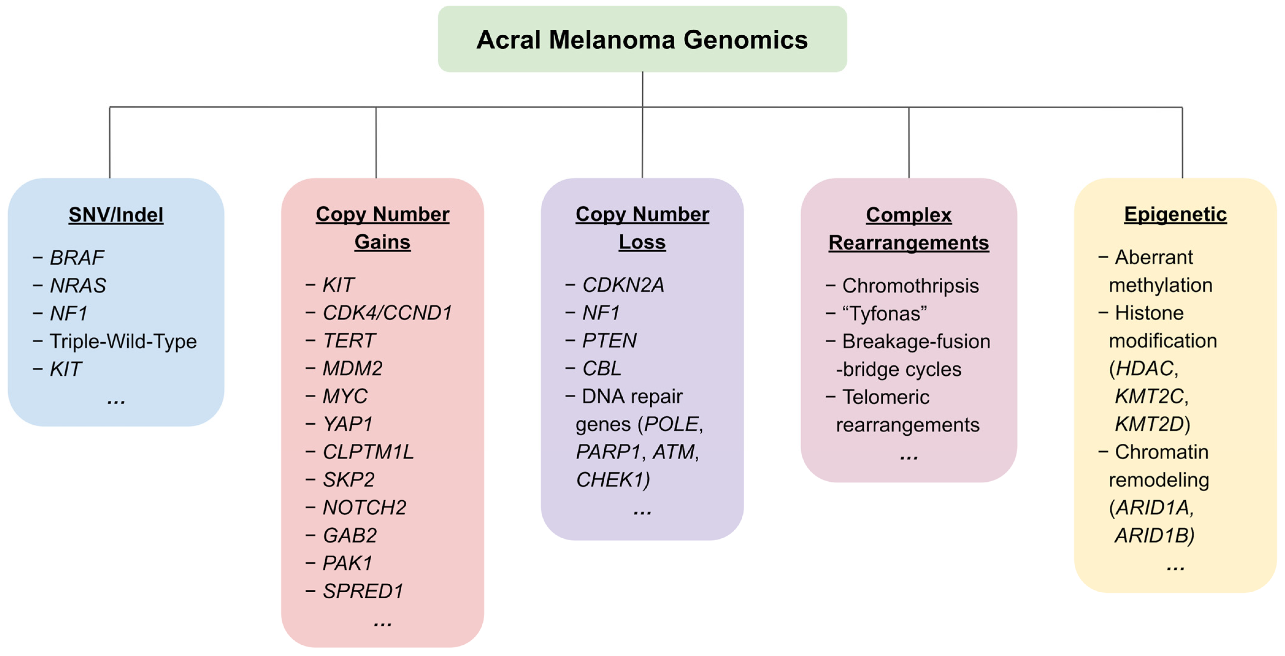 Biomolecules 15 00120 g001