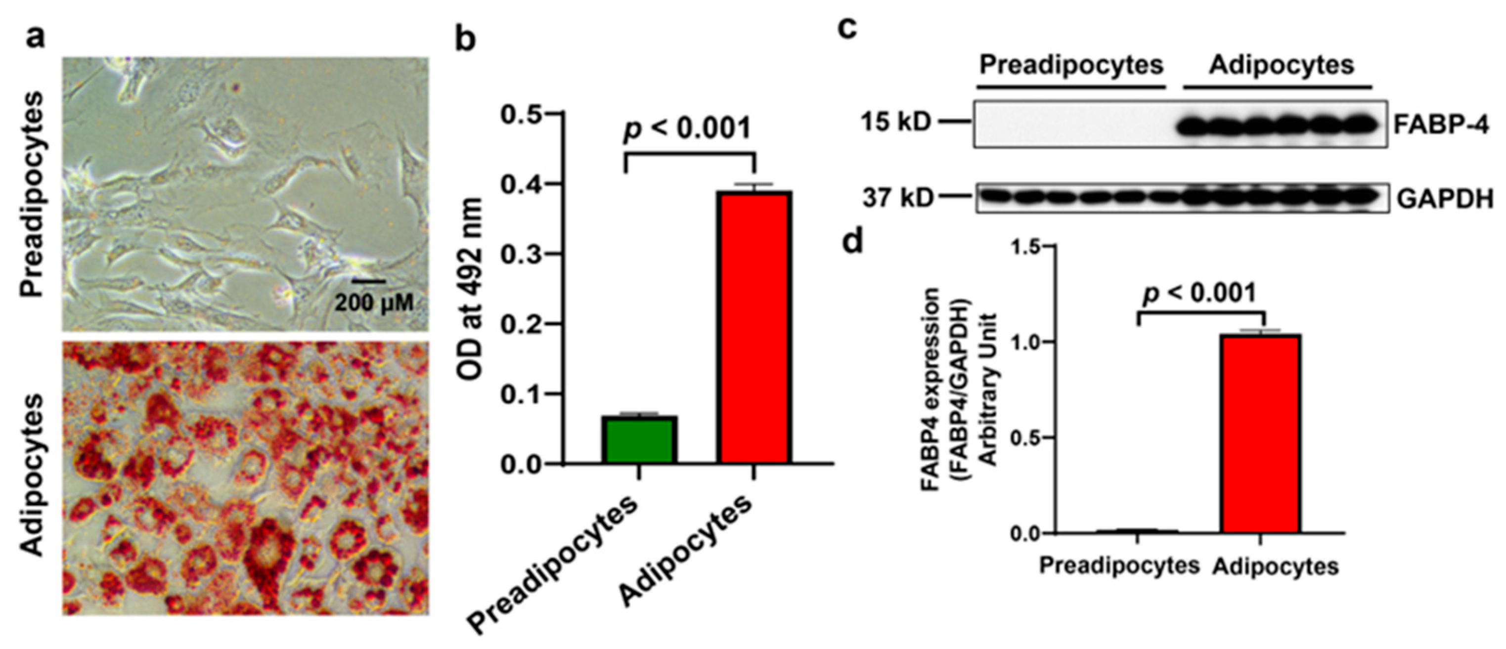 Biomolecules 15 00129 g002