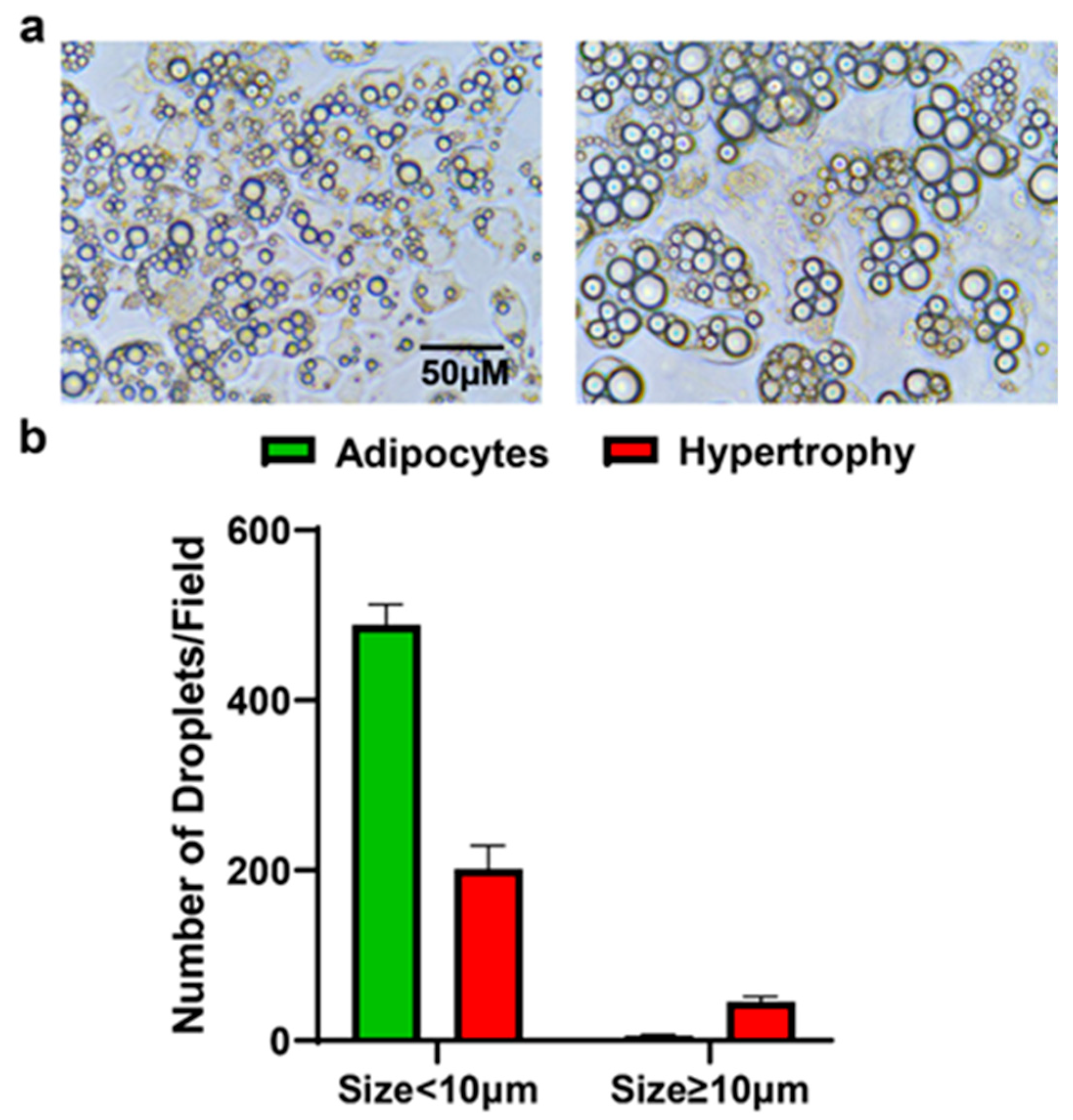 Biomolecules 15 00129 g003