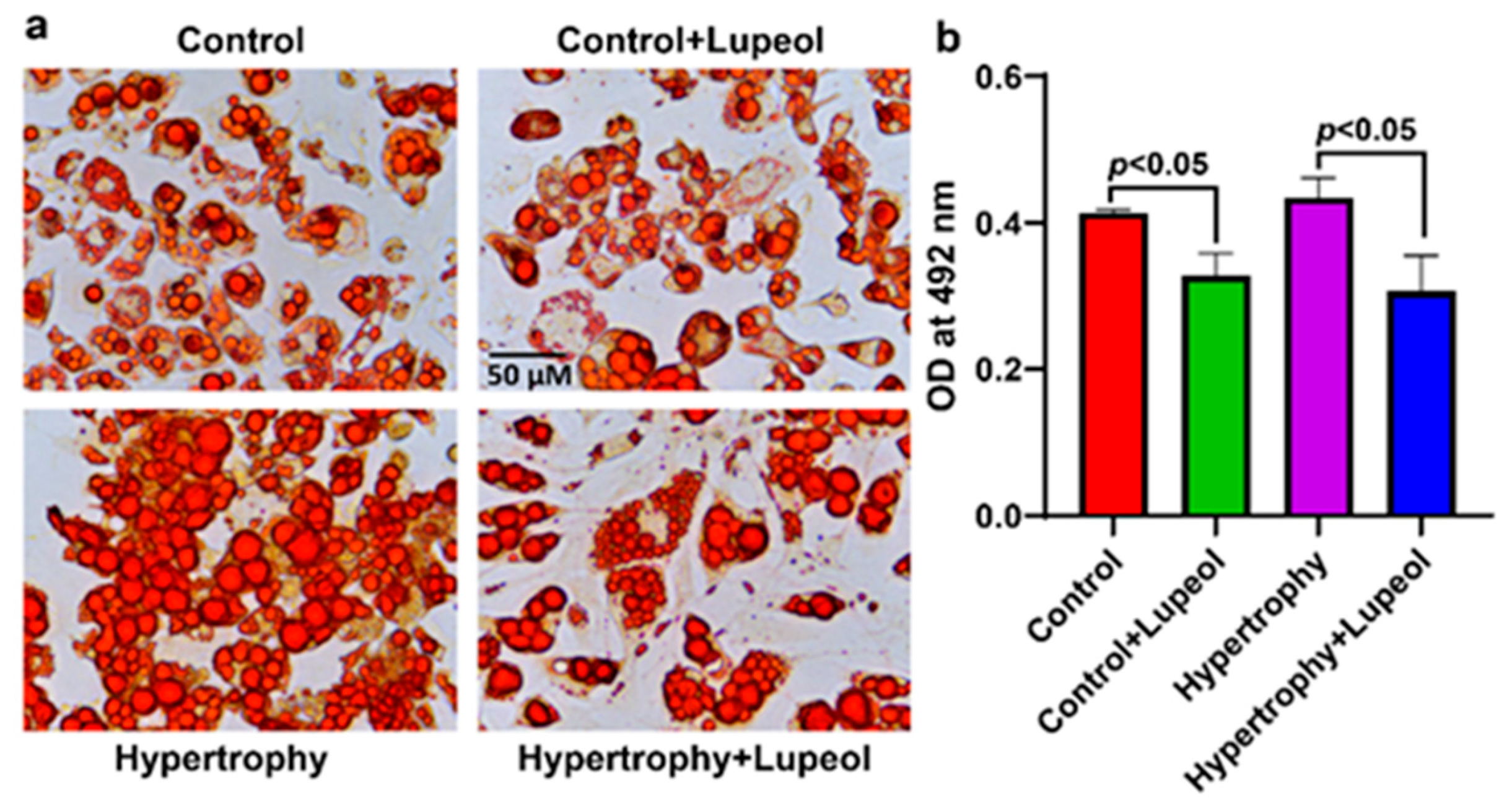 Biomolecules 15 00129 g004