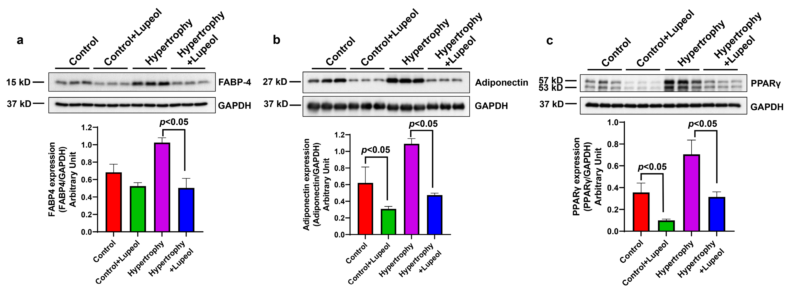 Biomolecules 15 00129 g006