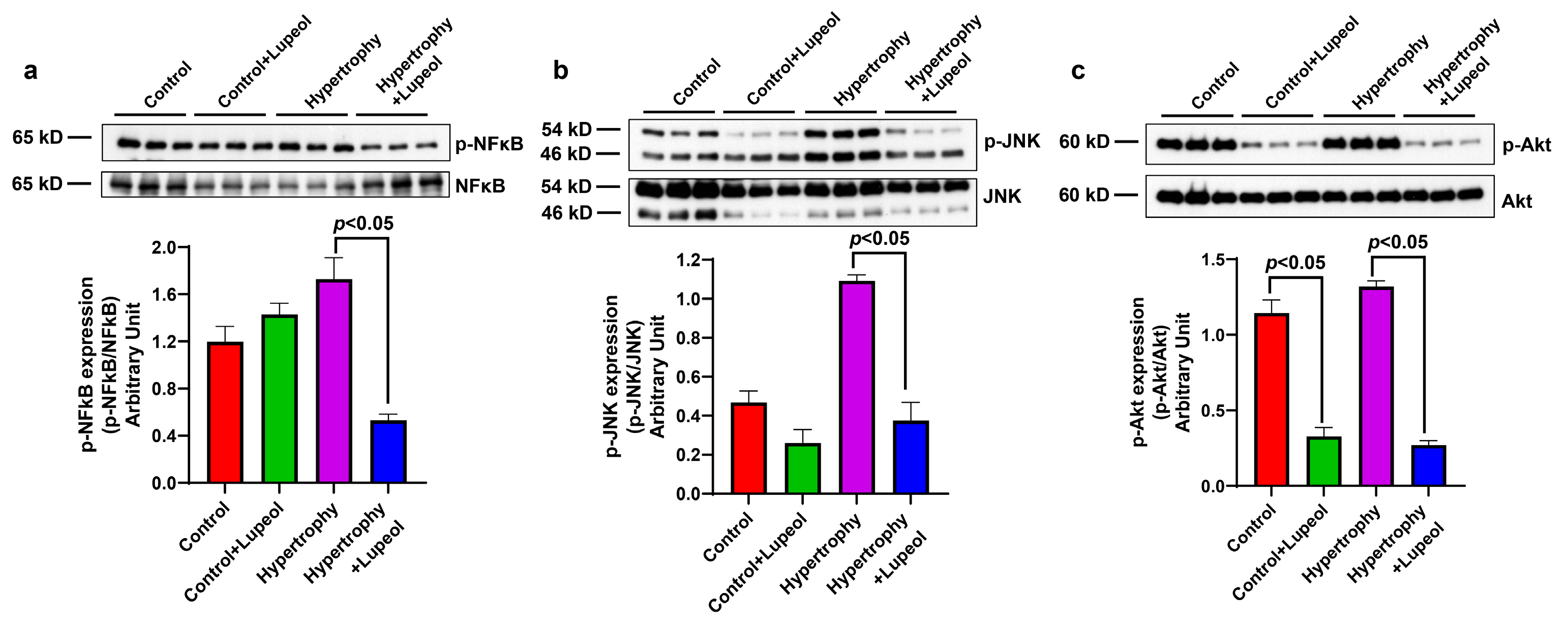 Biomolecules 15 00129 g008