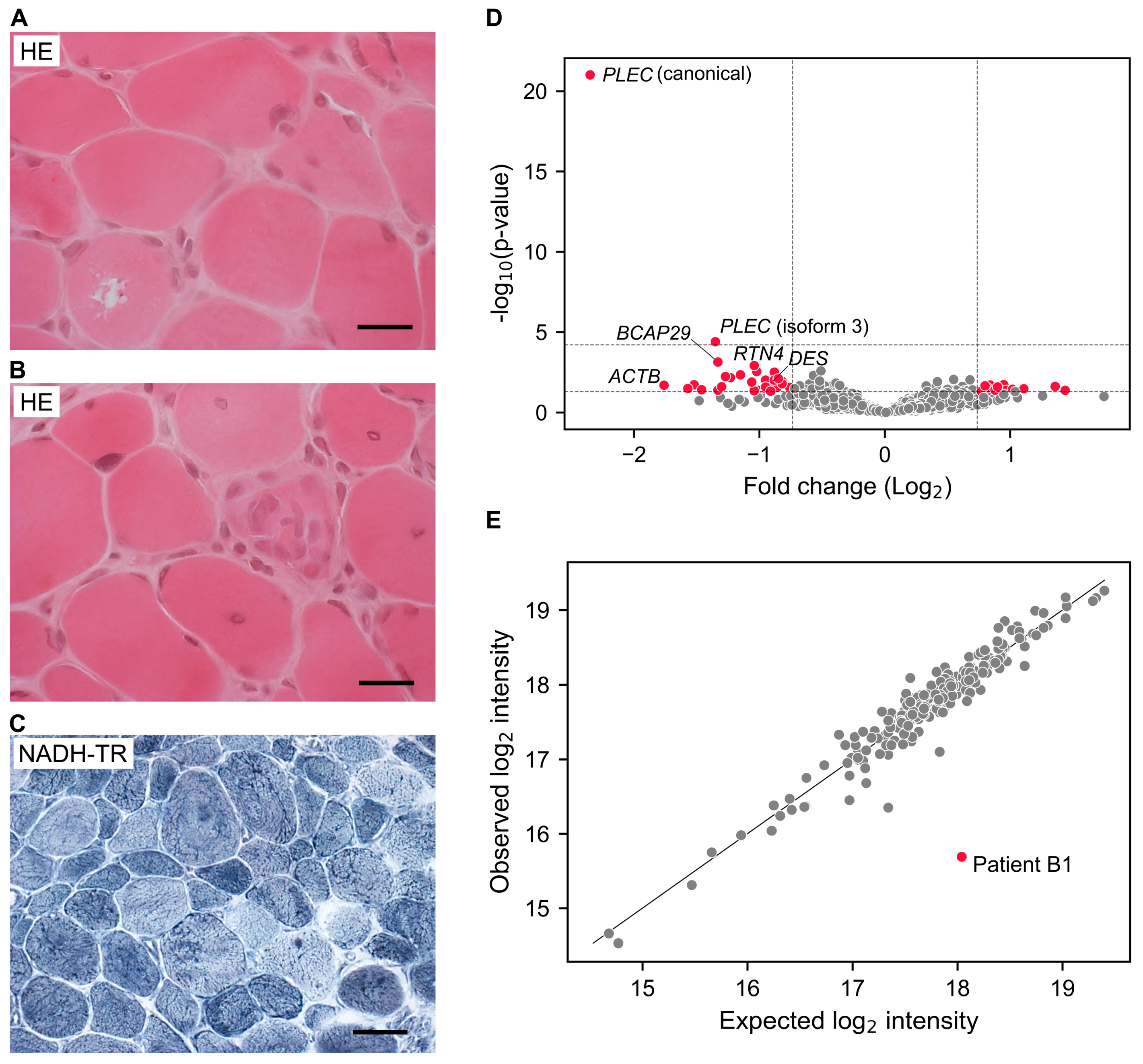 Biomolecules 15 00130 g0a1 Biomolecules 15 00130 g0a1
