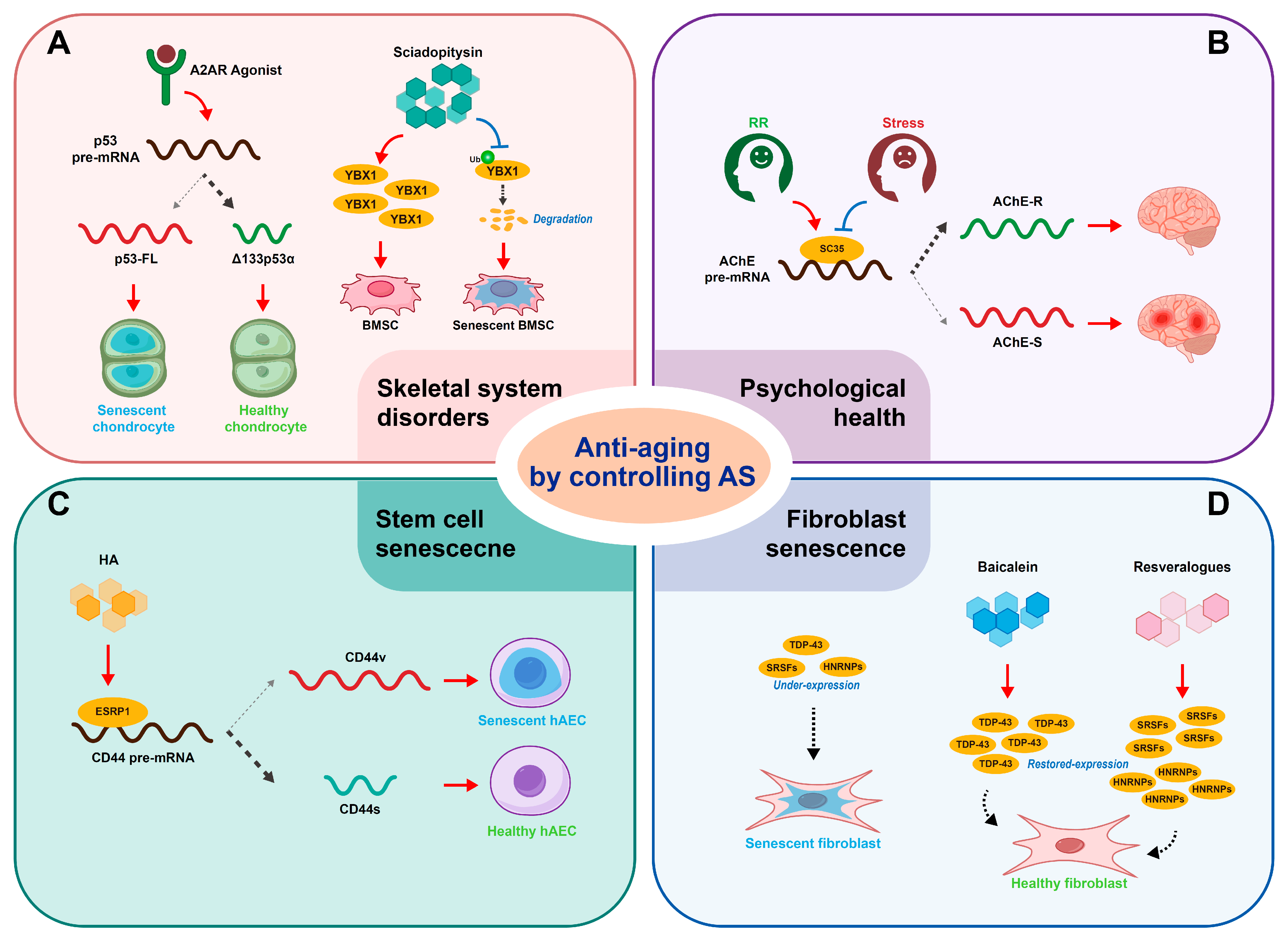 Biomolecules 15 00131 g004 Biomolecules 15 00131 g004