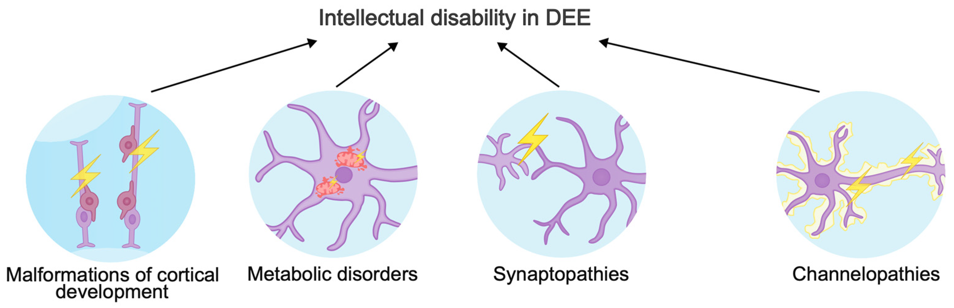 Biomolecules 15 00133 g001