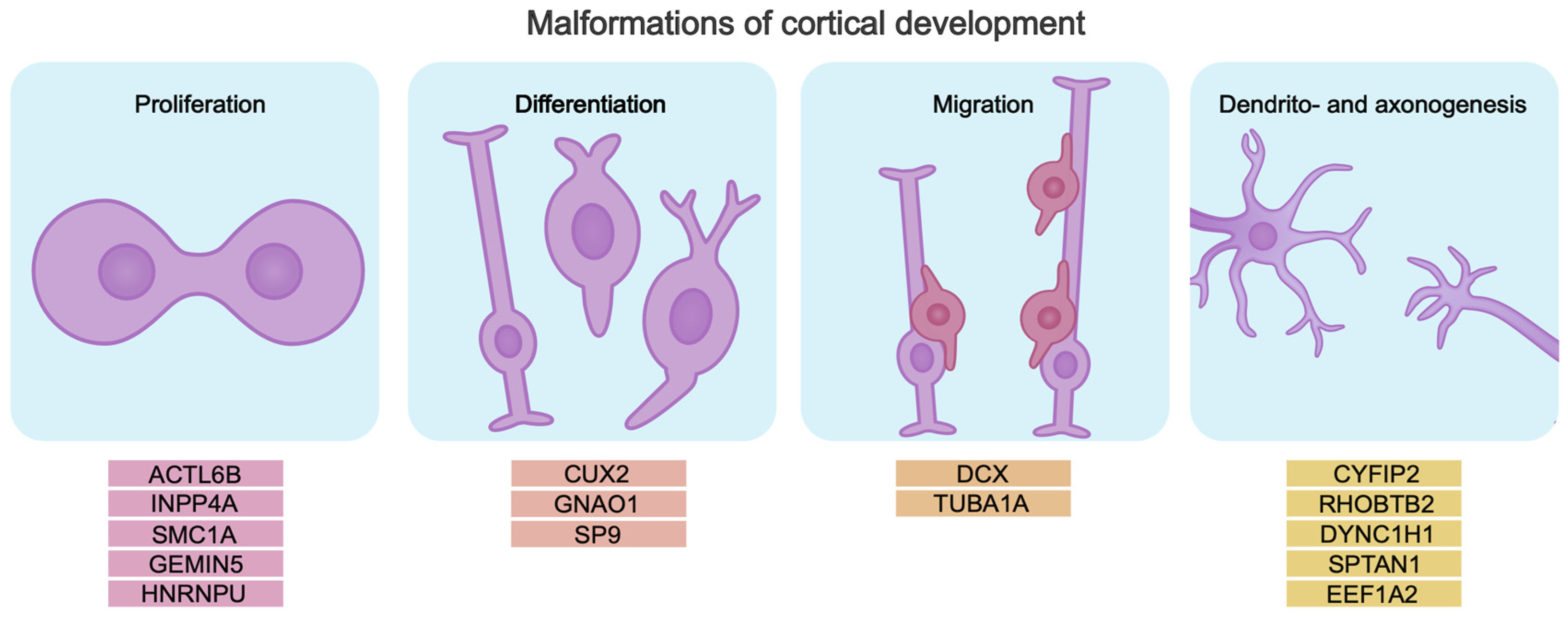 Biomolecules 15 00133 g002