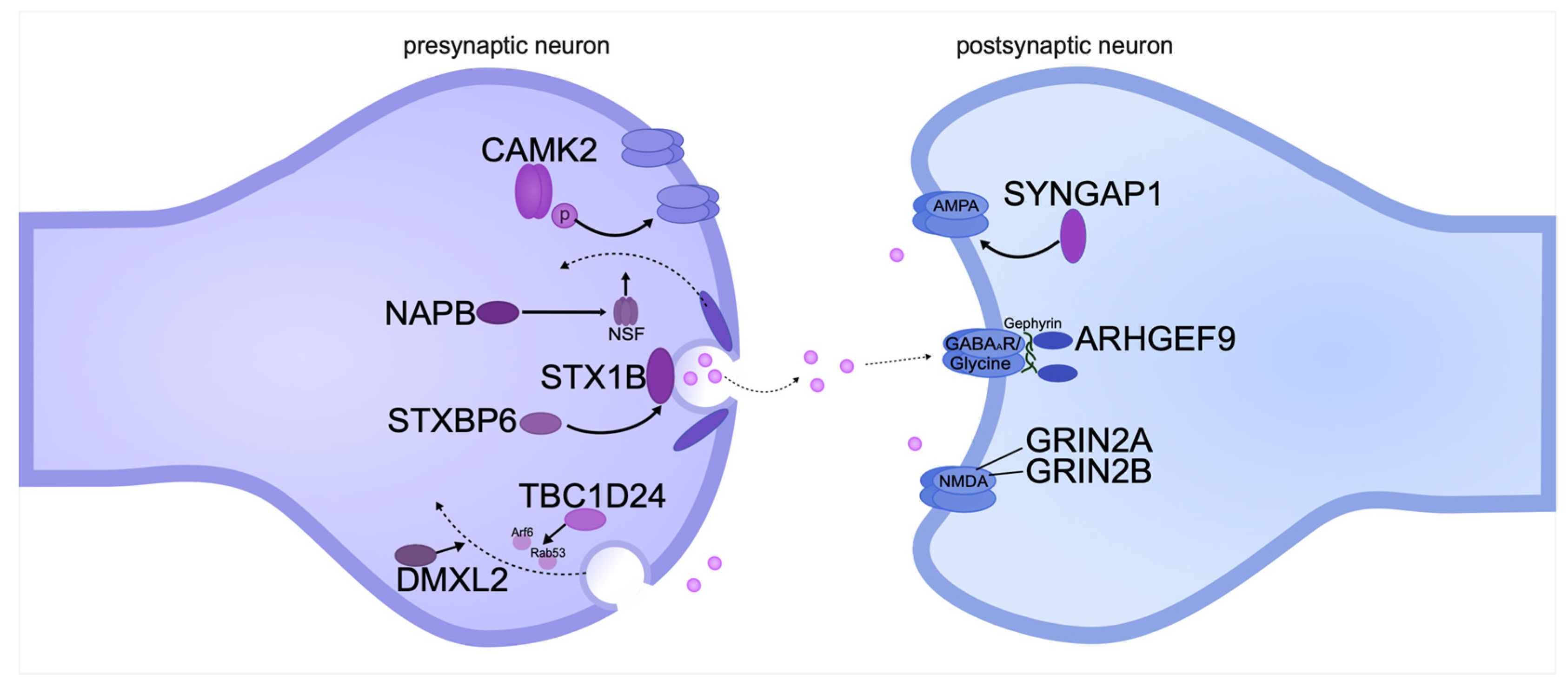 Biomolecules 15 00133 g003