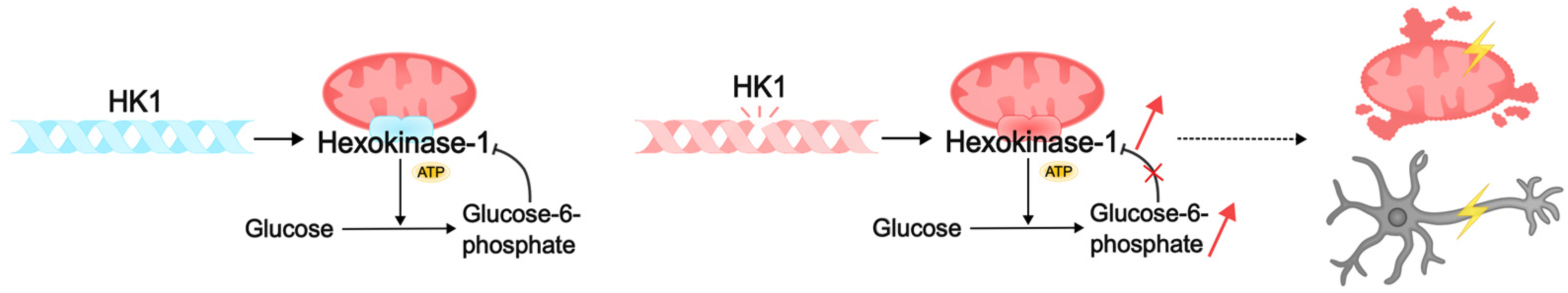 Biomolecules 15 00133 g004
