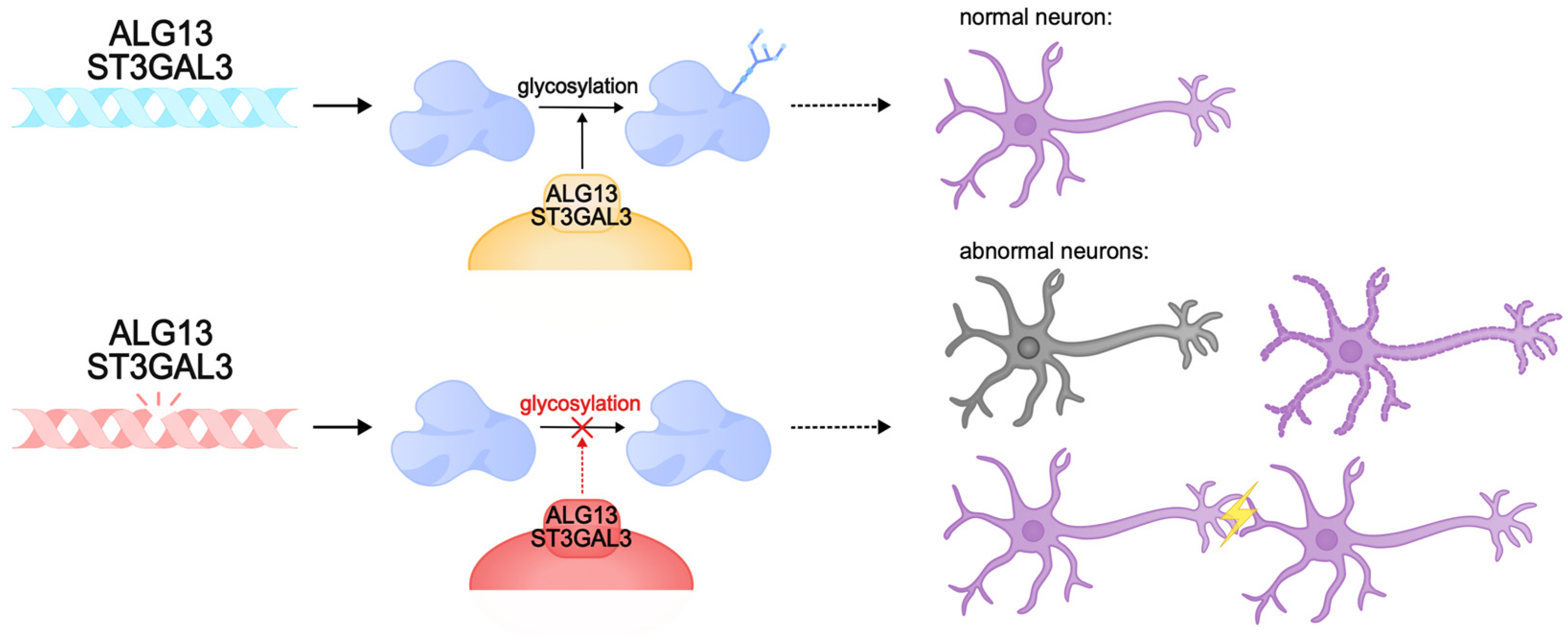Biomolecules 15 00133 g006