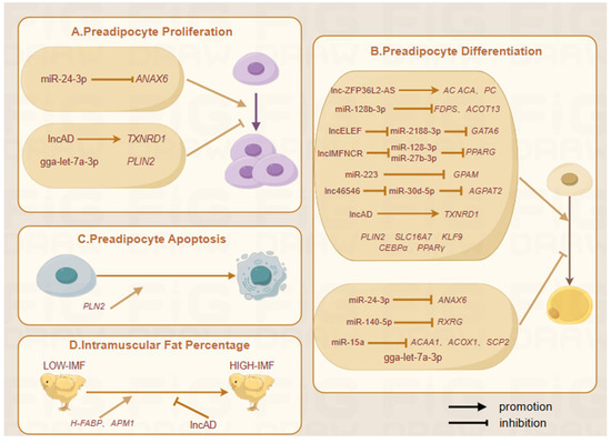 Biomolecules 15 00134 g001