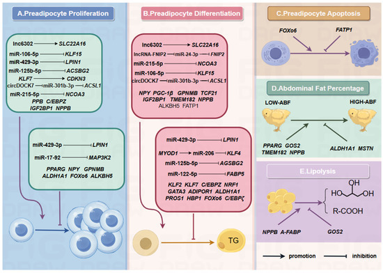 Biomolecules 15 00134 g002
