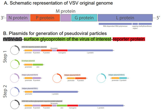 Biomolecules 15 00135 g002