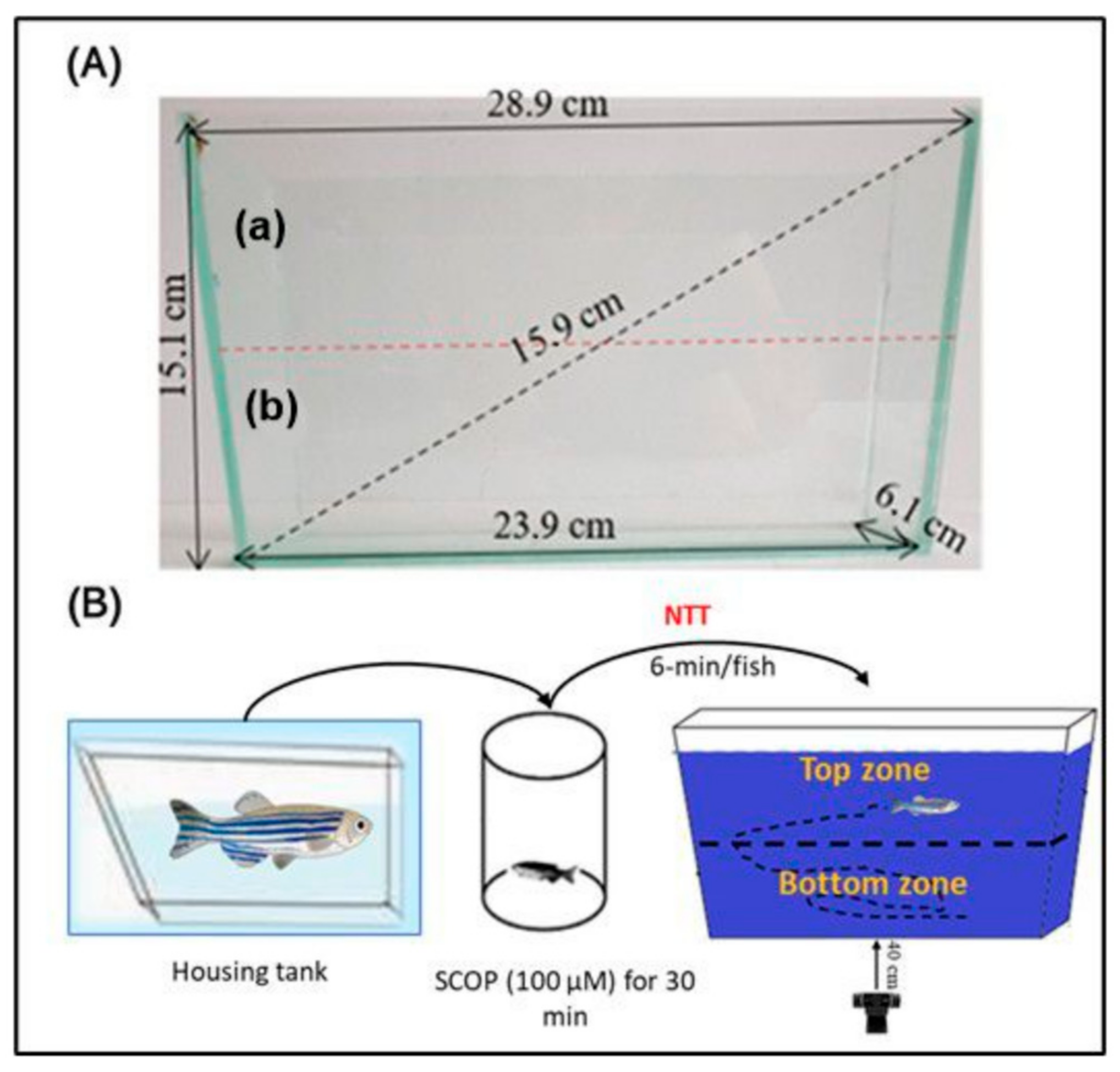 Biomolecules 15 00138 g002