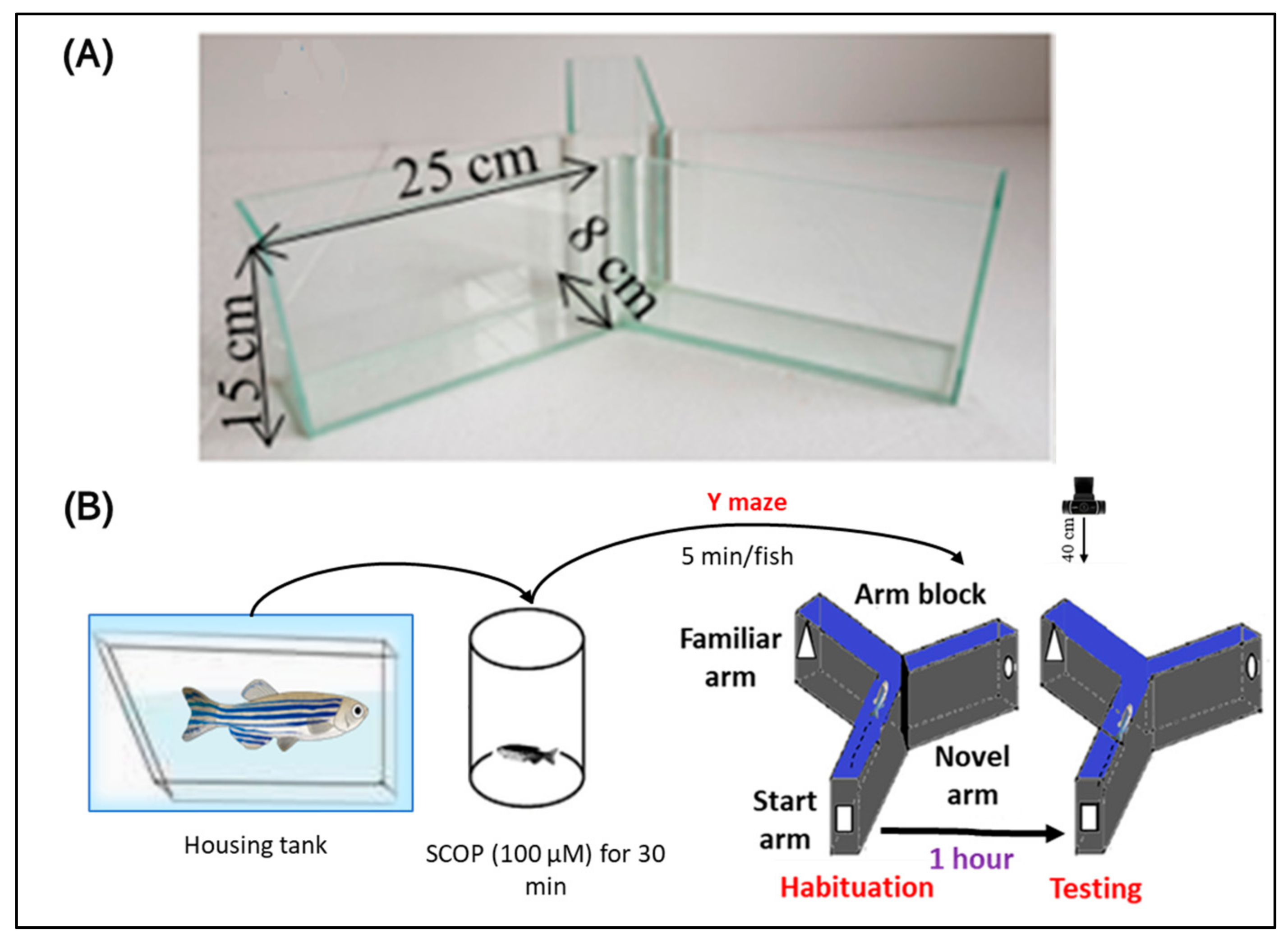 Biomolecules 15 00138 g003