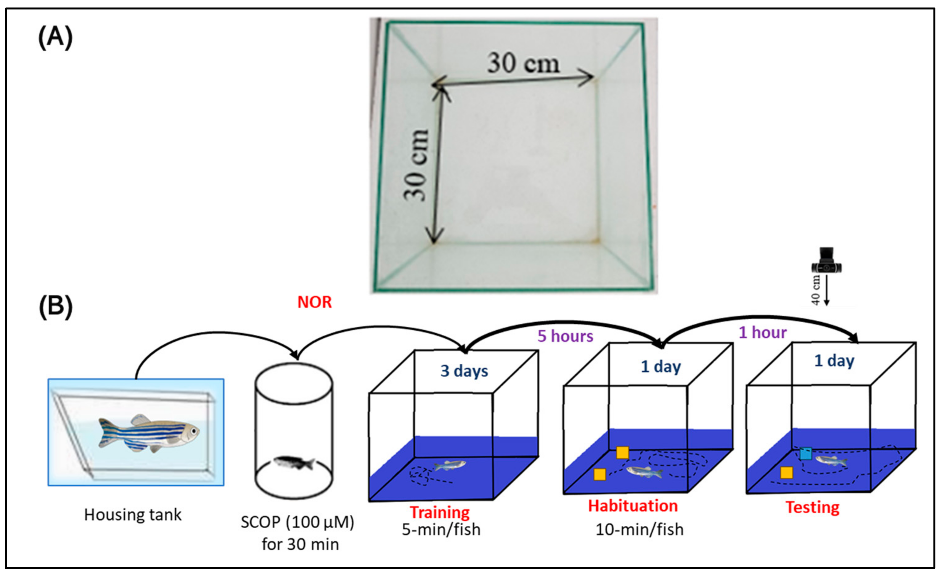 Biomolecules 15 00138 g004