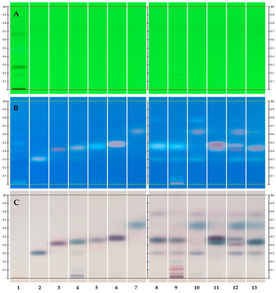 Biomolecules 15 00147 g001