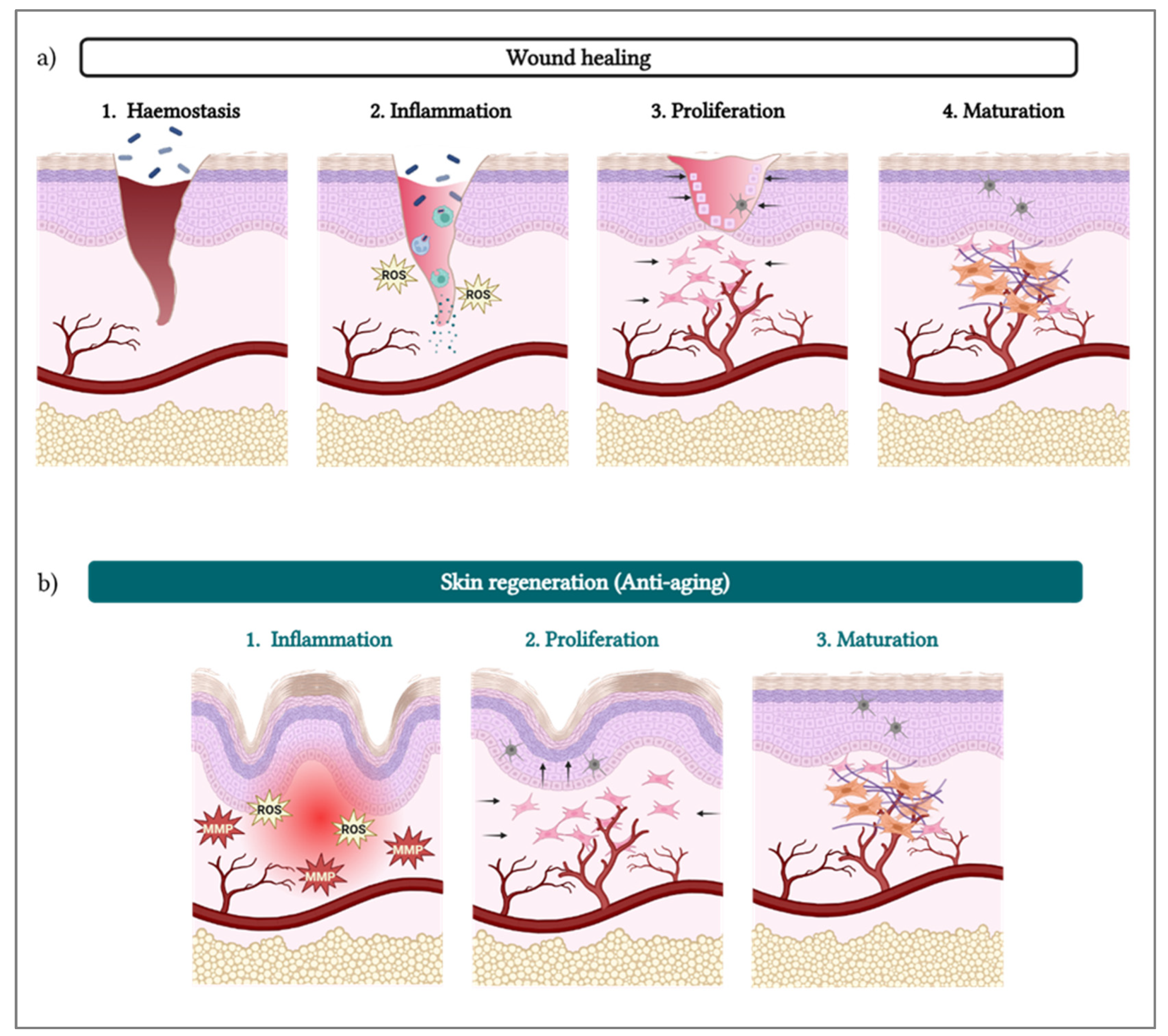 Biomolecules 15 00148 g002