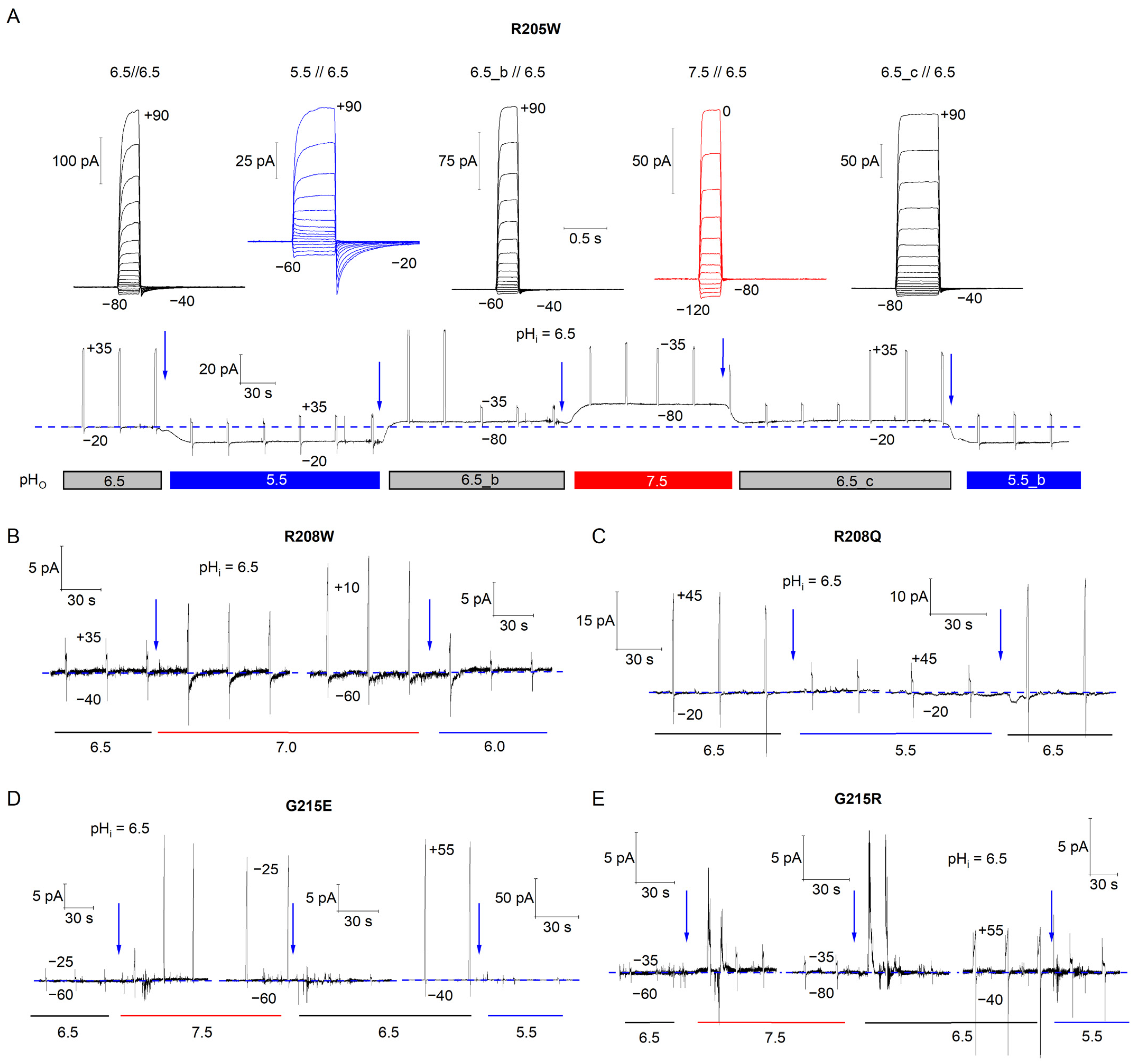 Biomolecules 15 00156 g004