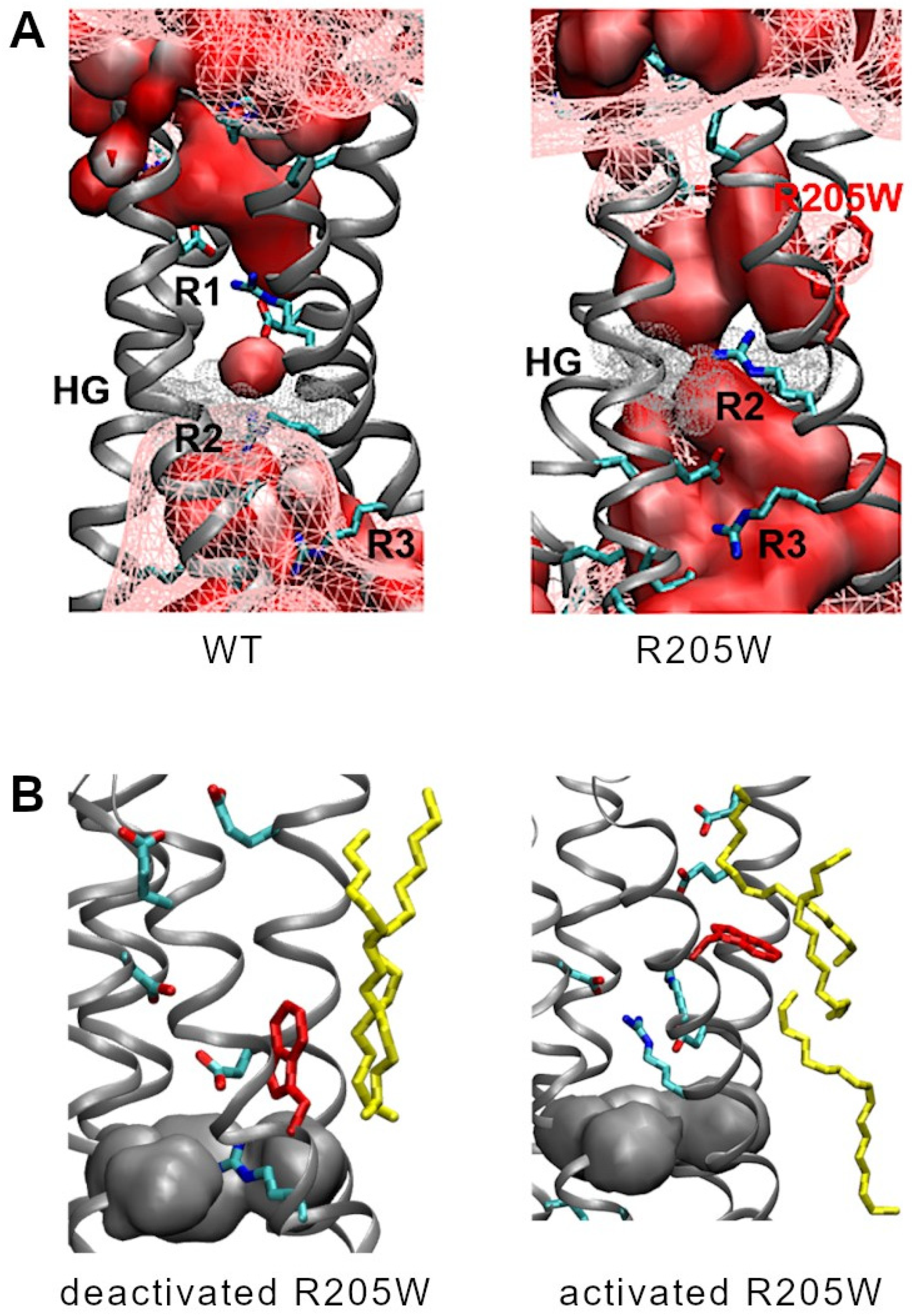 Biomolecules 15 00156 g007
