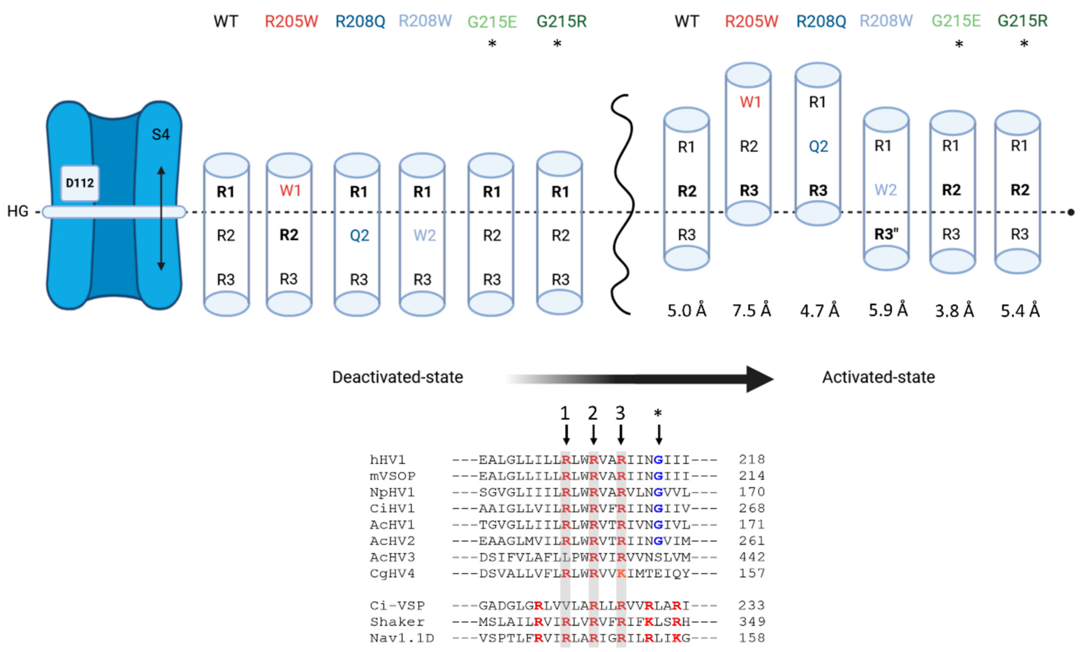Biomolecules 15 00156 g008