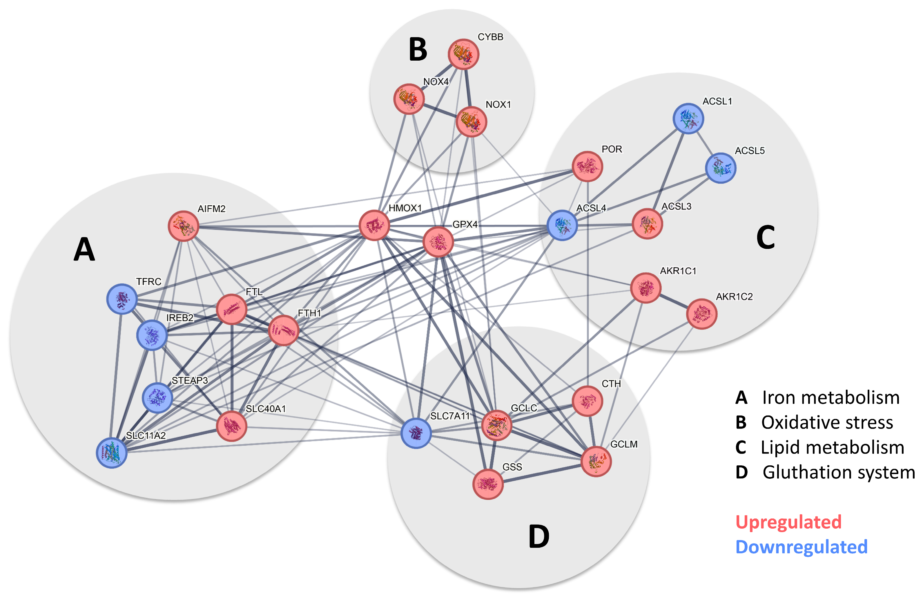 Biomolecules 15 00164 g005