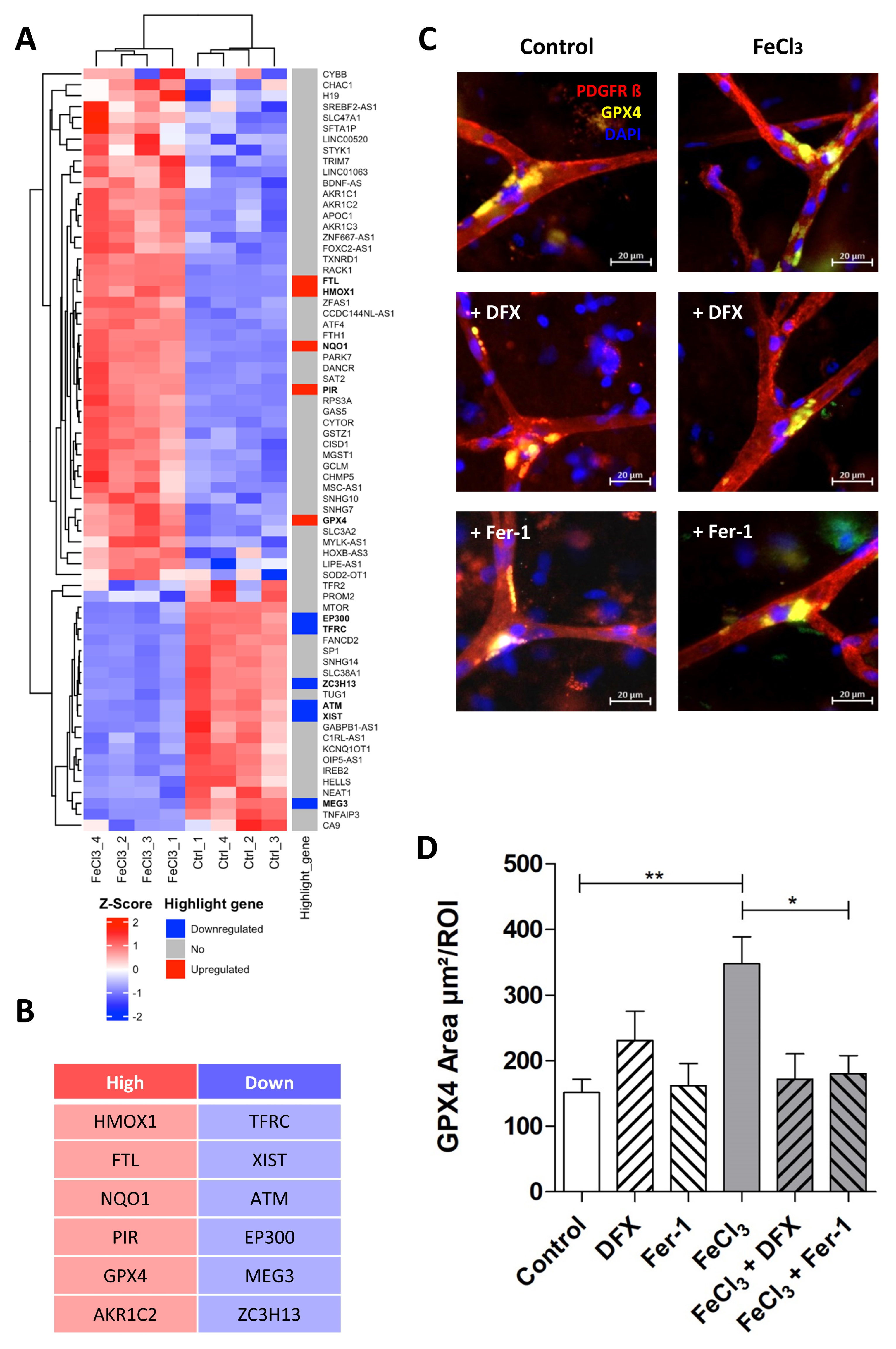 Biomolecules 15 00164 g006