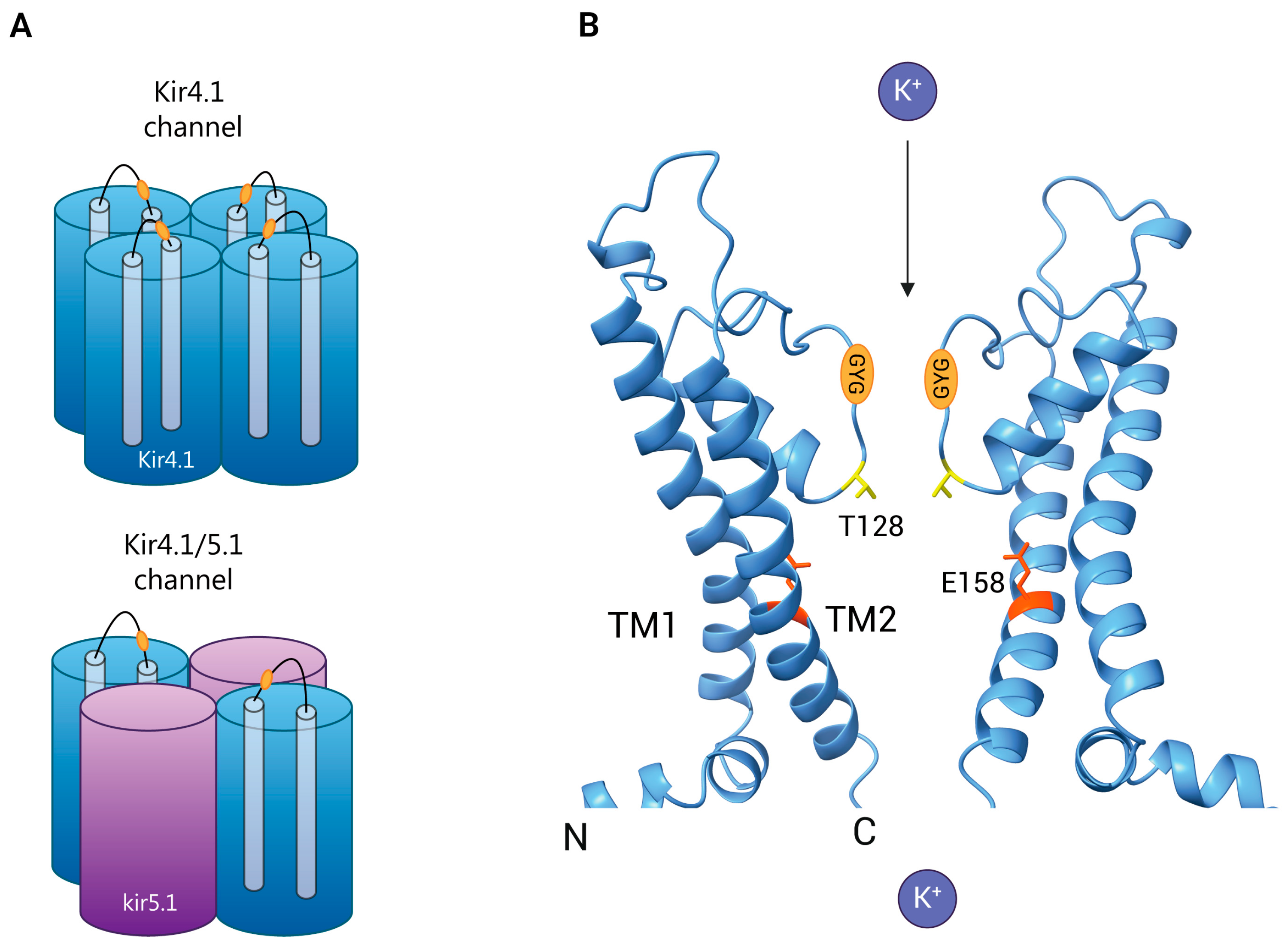 Biomolecules 15 00165 g001 Biomolecules 15 00165 g001