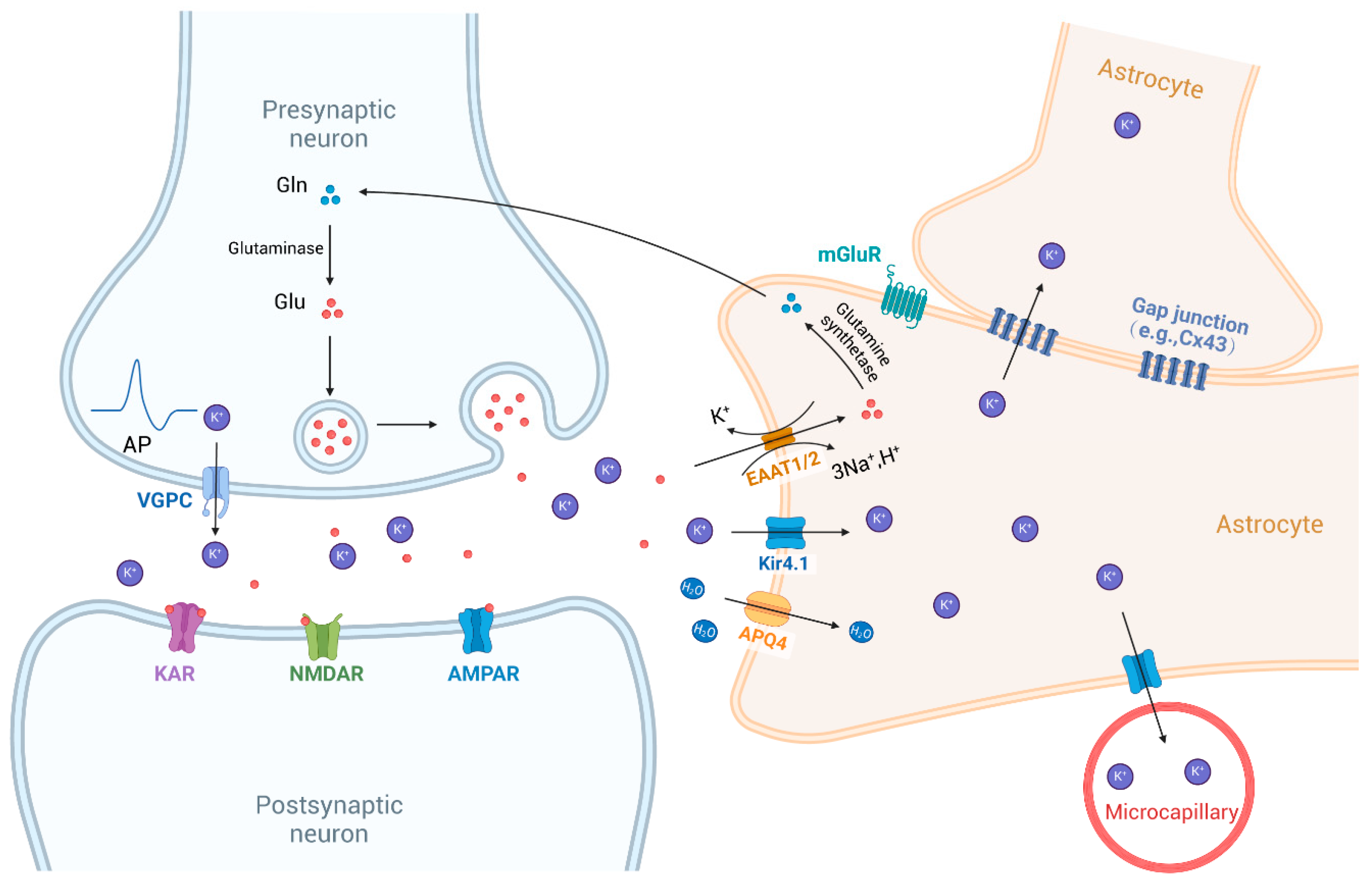 Biomolecules 15 00165 g003 Biomolecules 15 00165 g003
